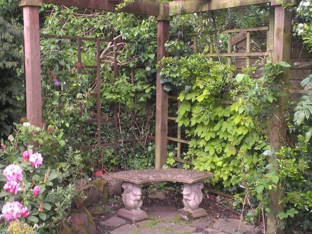 Activities in Iolanthe