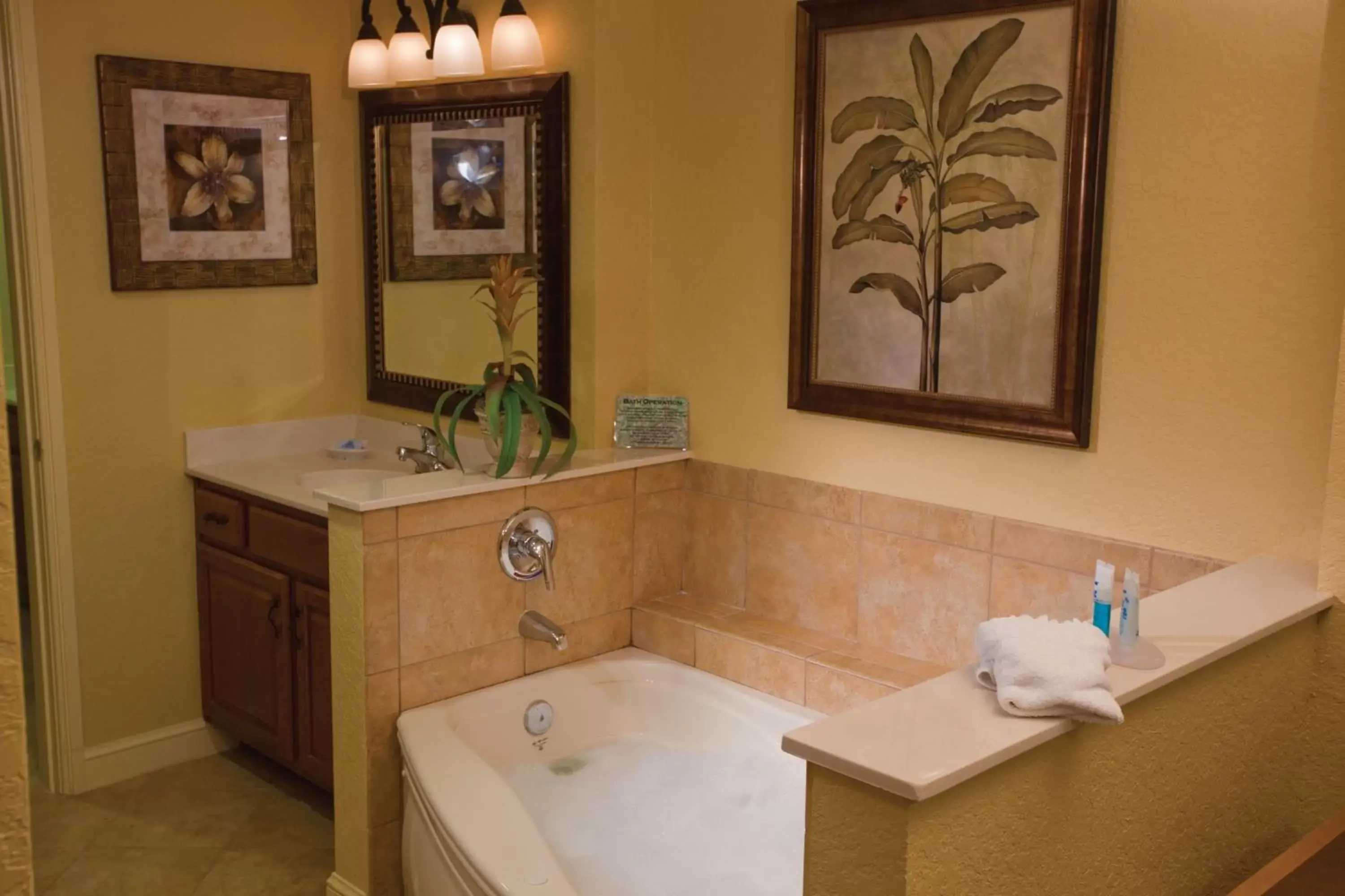 One-Bedroom Villa in Club Wyndham Bonnet Creek One-Bedroom Villa in Club Wyndham Bonnet Creek
