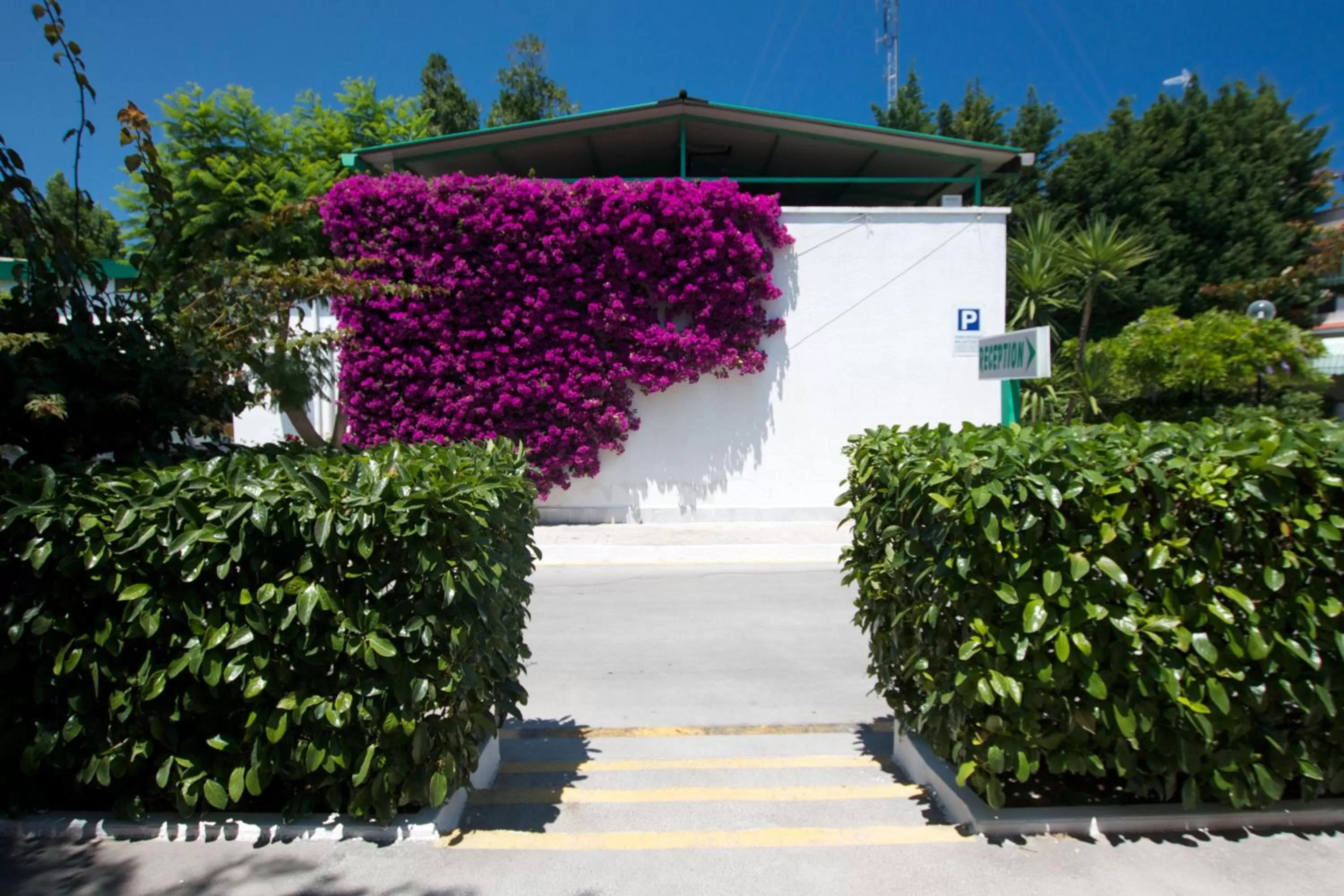 Other in Hotel Residence Nemo