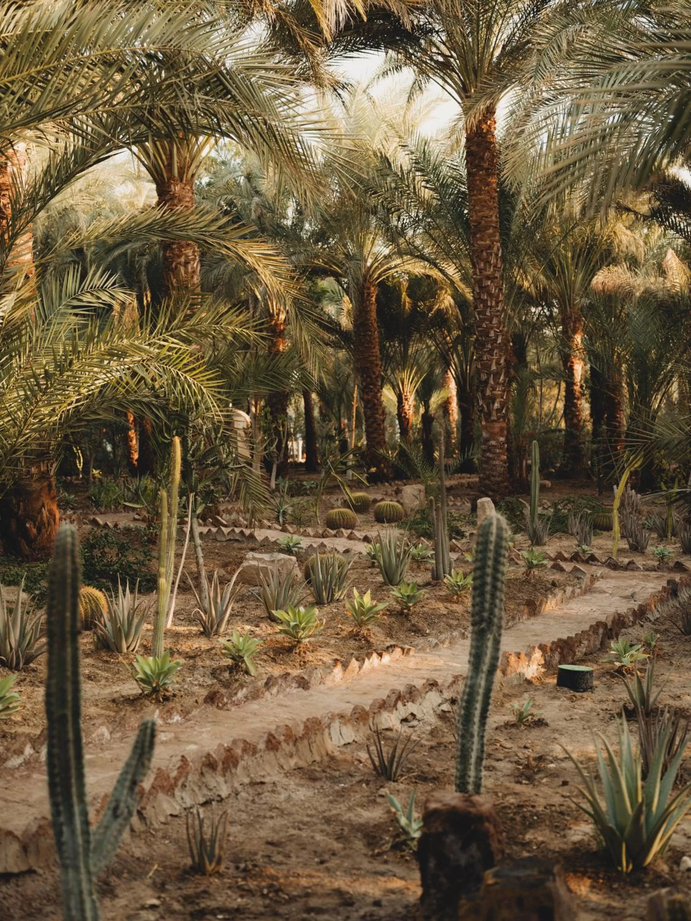Garden in Al Moudira Hotel