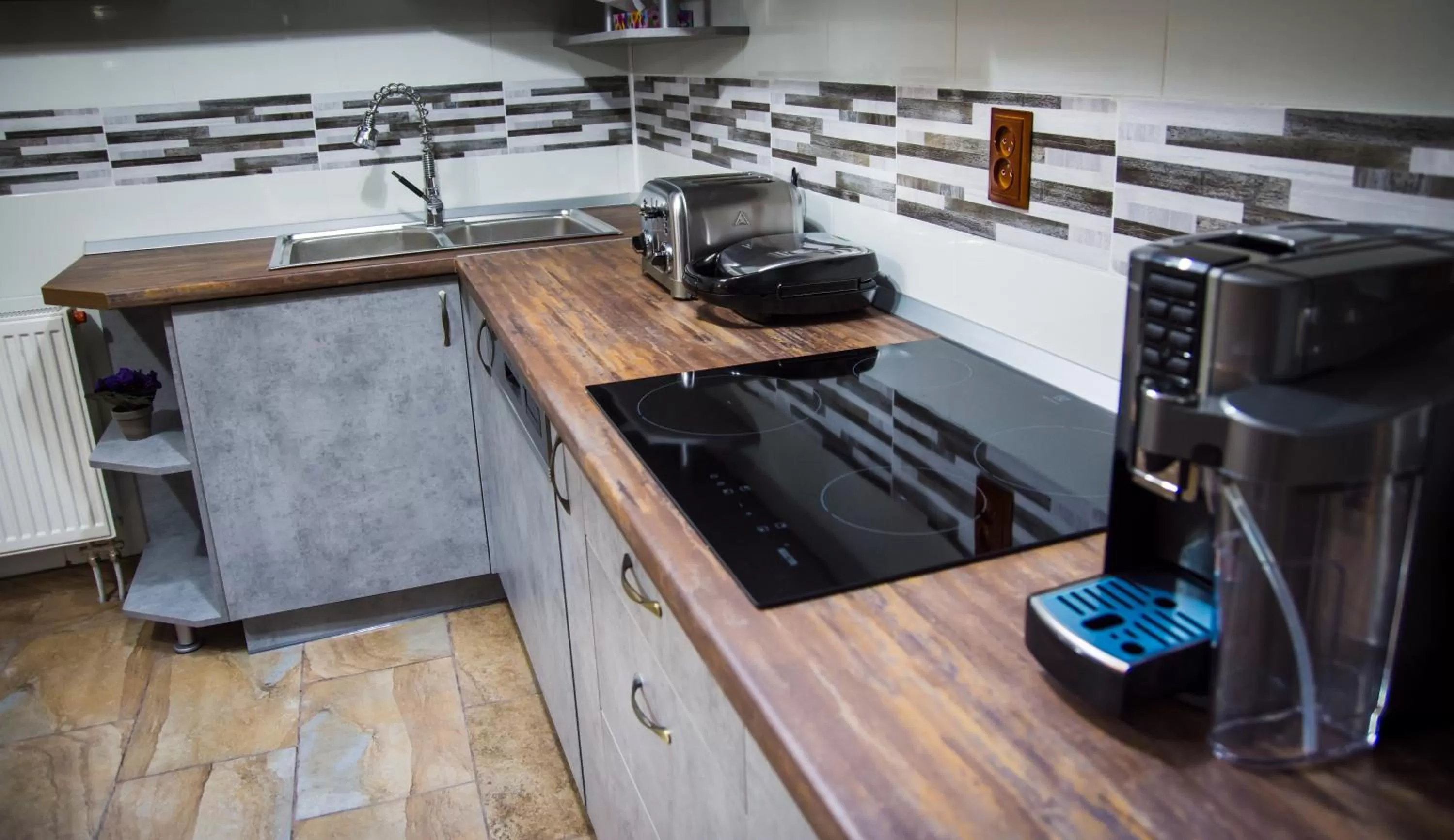 Property building, Kitchen/Kitchenette in Pensiunea SilvAnka