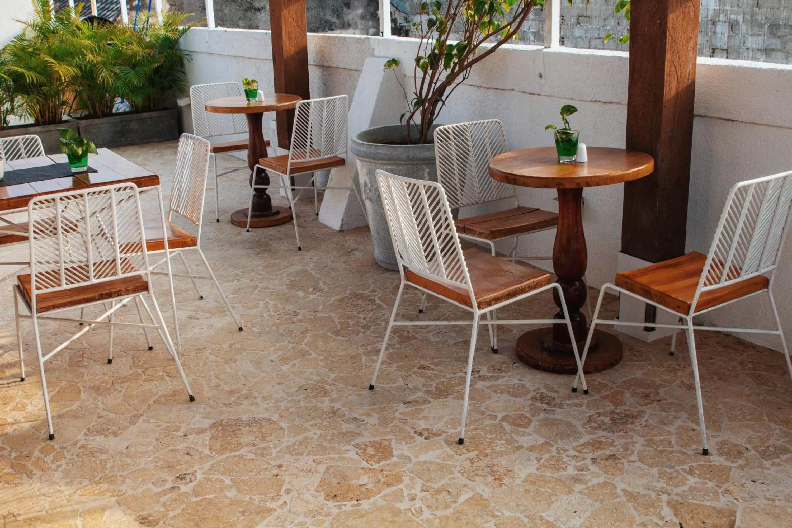 Dining area in Soy Local Insignia