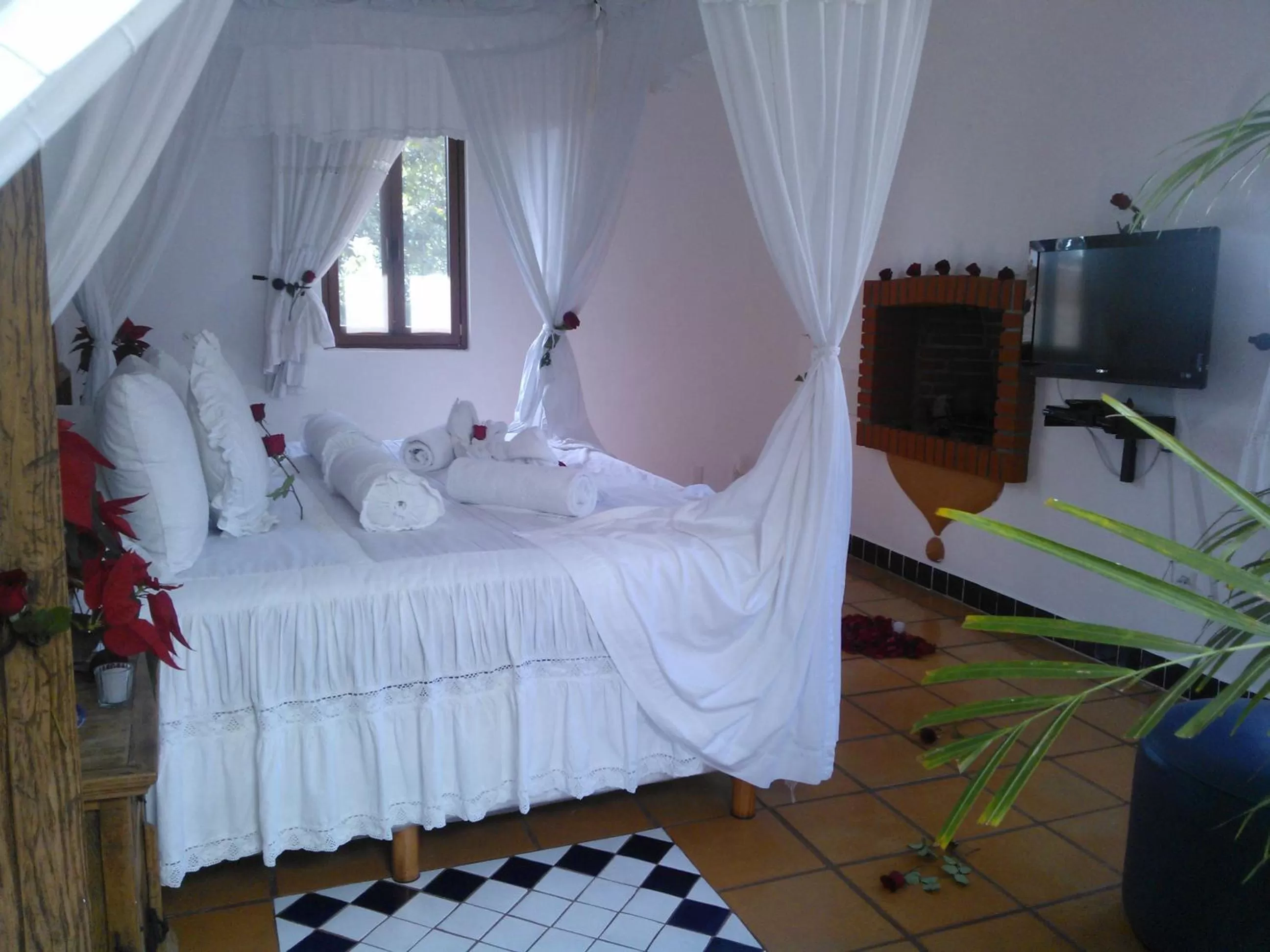 Bed in Posada Los Alcatraces