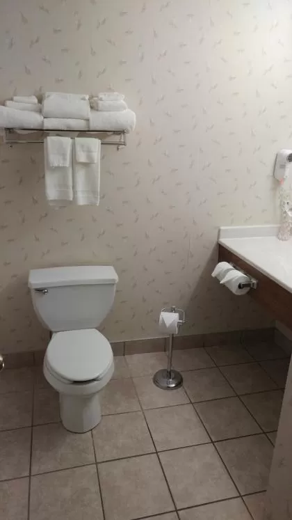 Bathroom in Country Inn & Suites by Radisson, Waterloo, IA