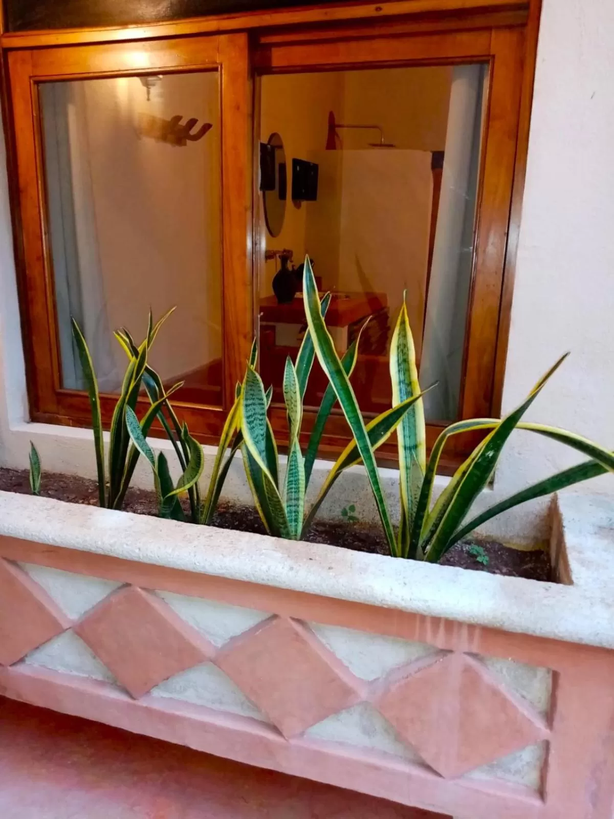 Garden in Hotel Boutique Refugio 41