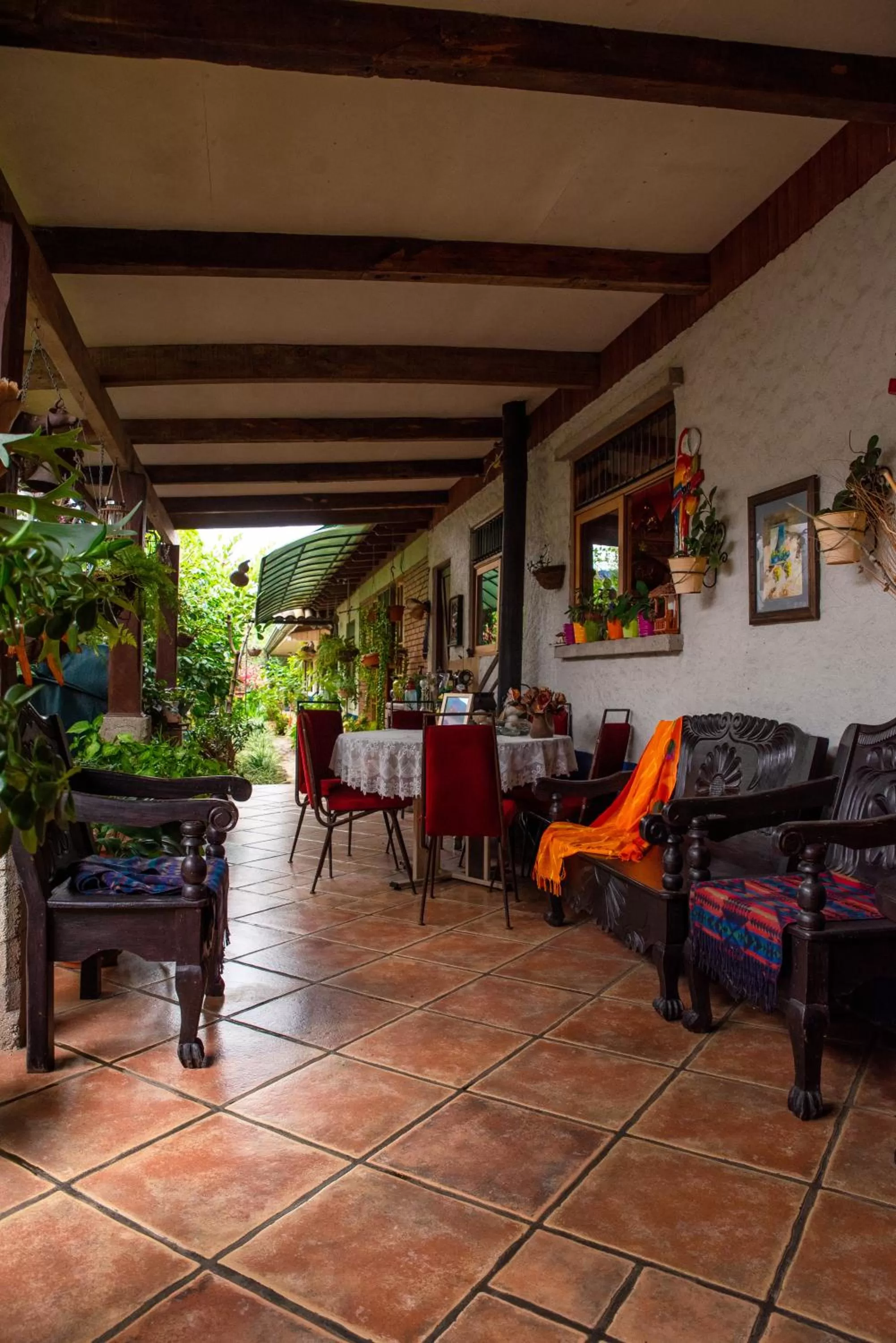 Patio in La Casa de Mamá Coyita