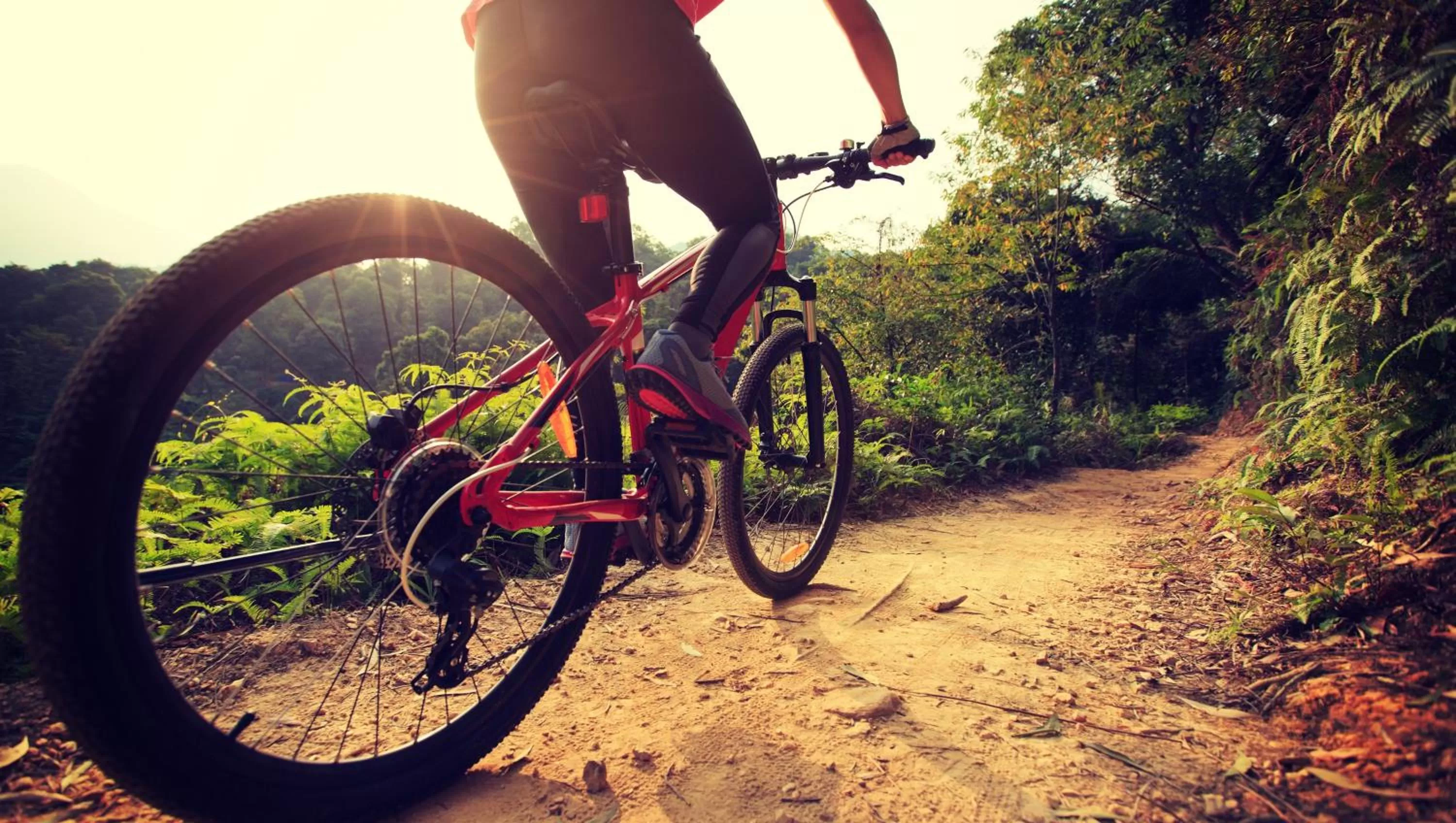 Nearby landmark in Magnuson Copper Crown