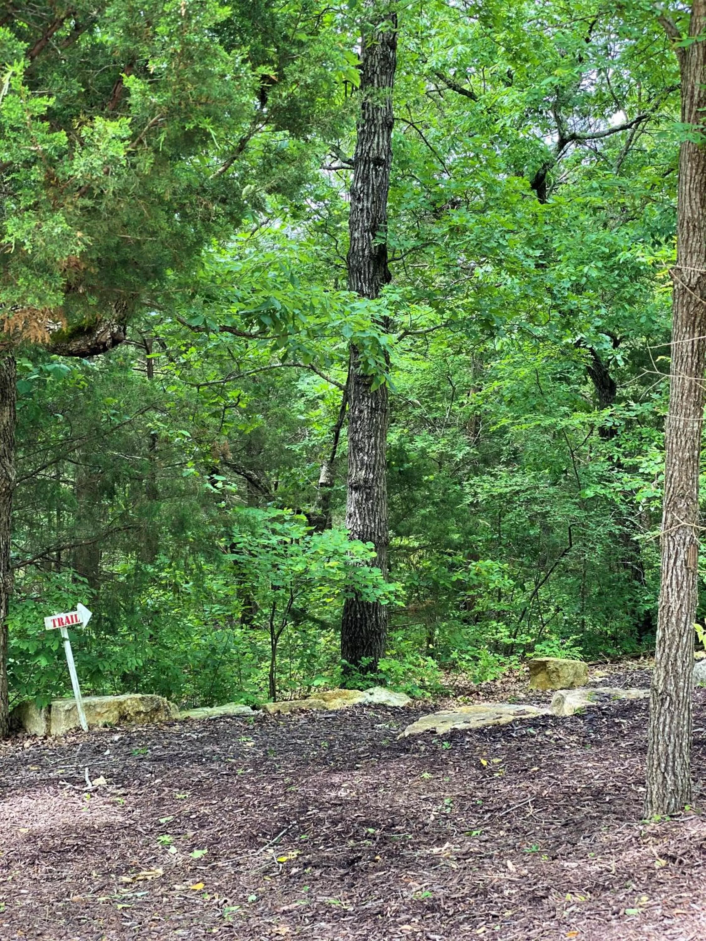 The Park at Foxborough