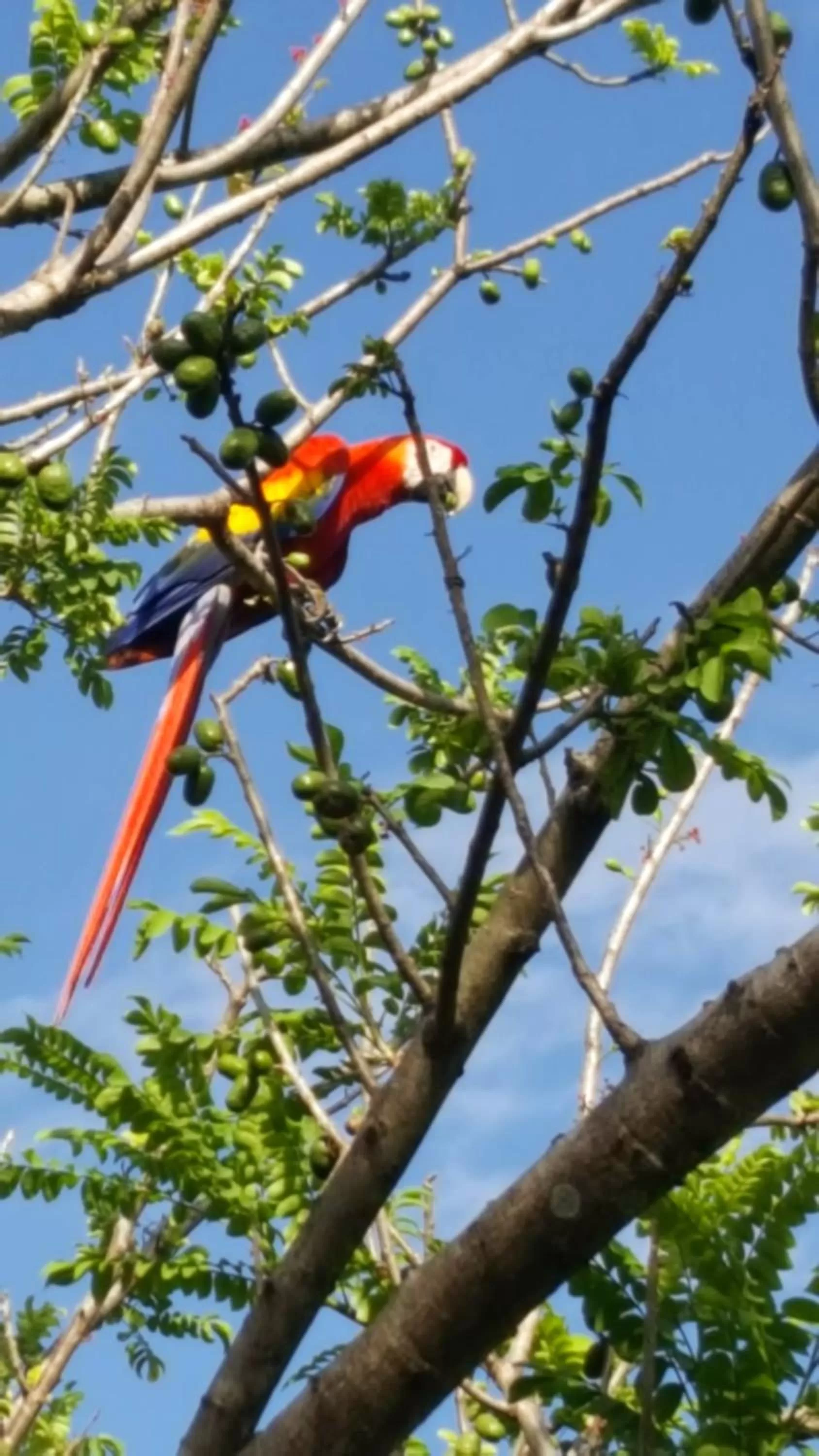 Animals in El Gecko Hotel & Tours