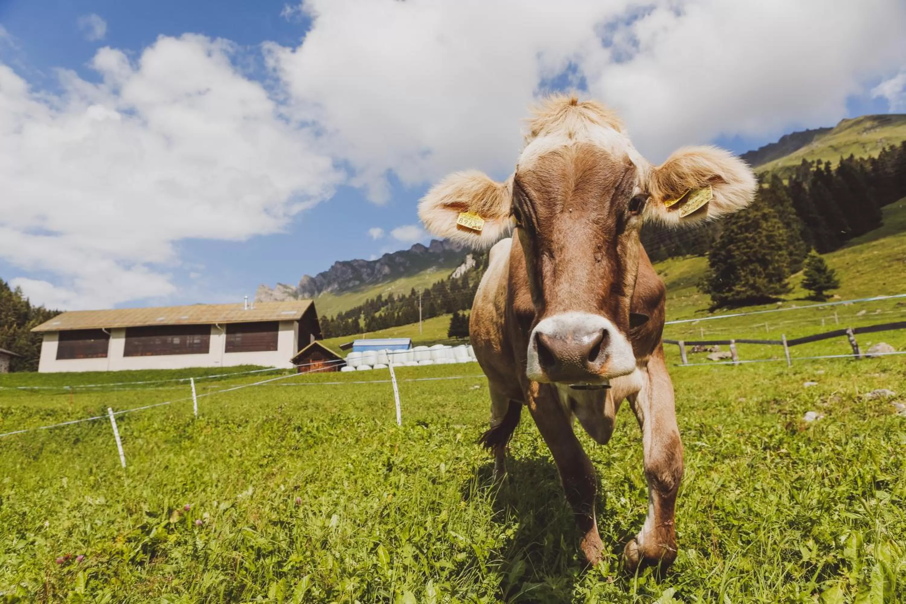 Decorative detail in Lai Lifestyle Hotel