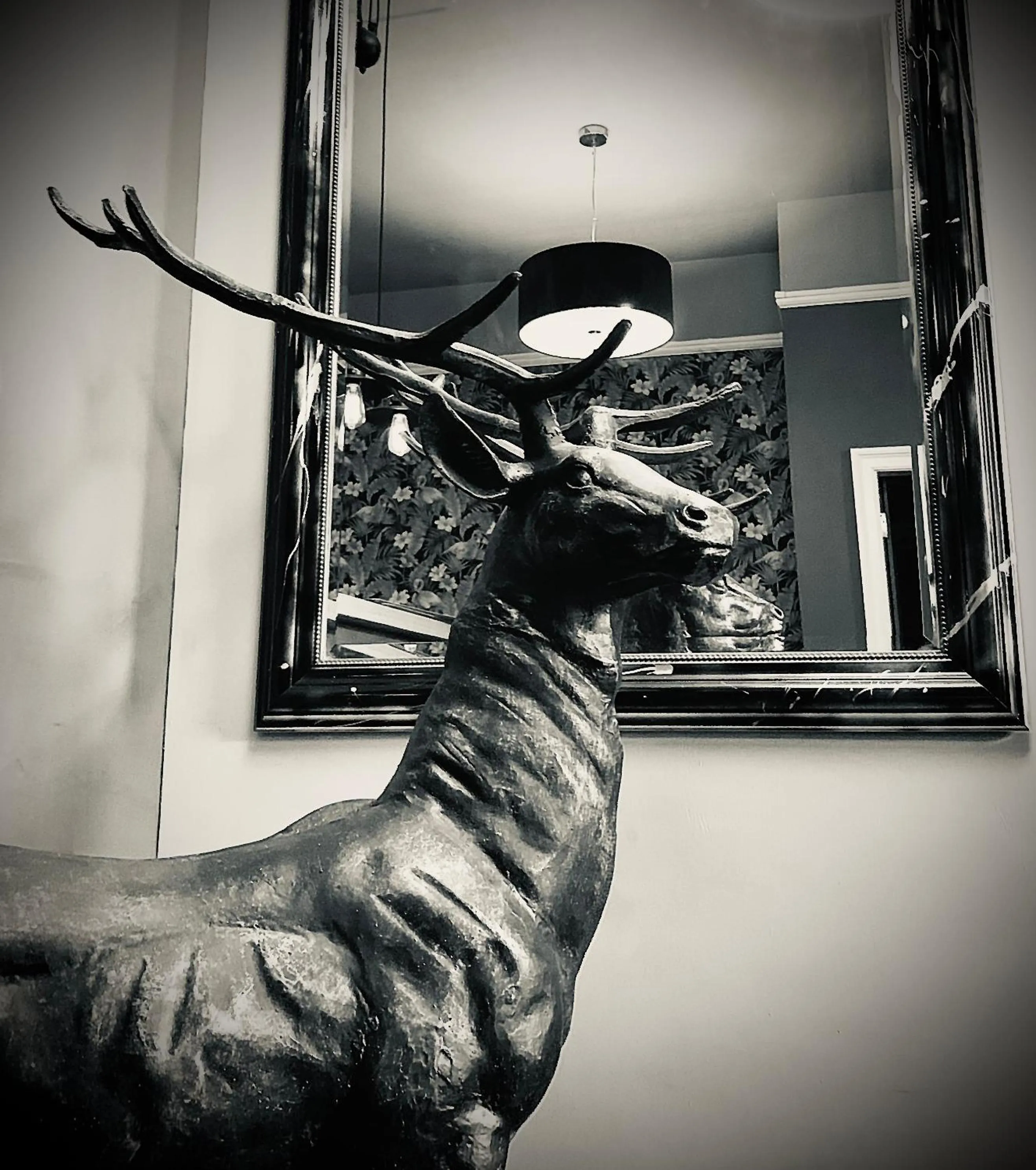 The Capon Tree Town House