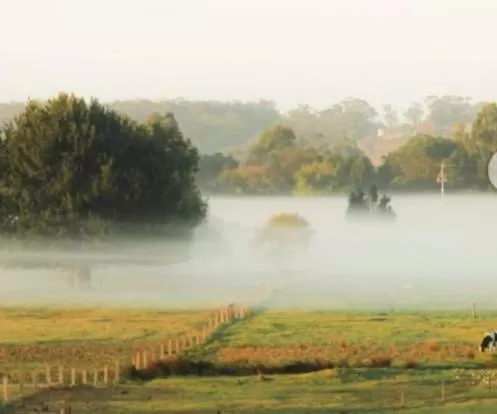 Natural landscape in Orbost Country Man Motor Inn