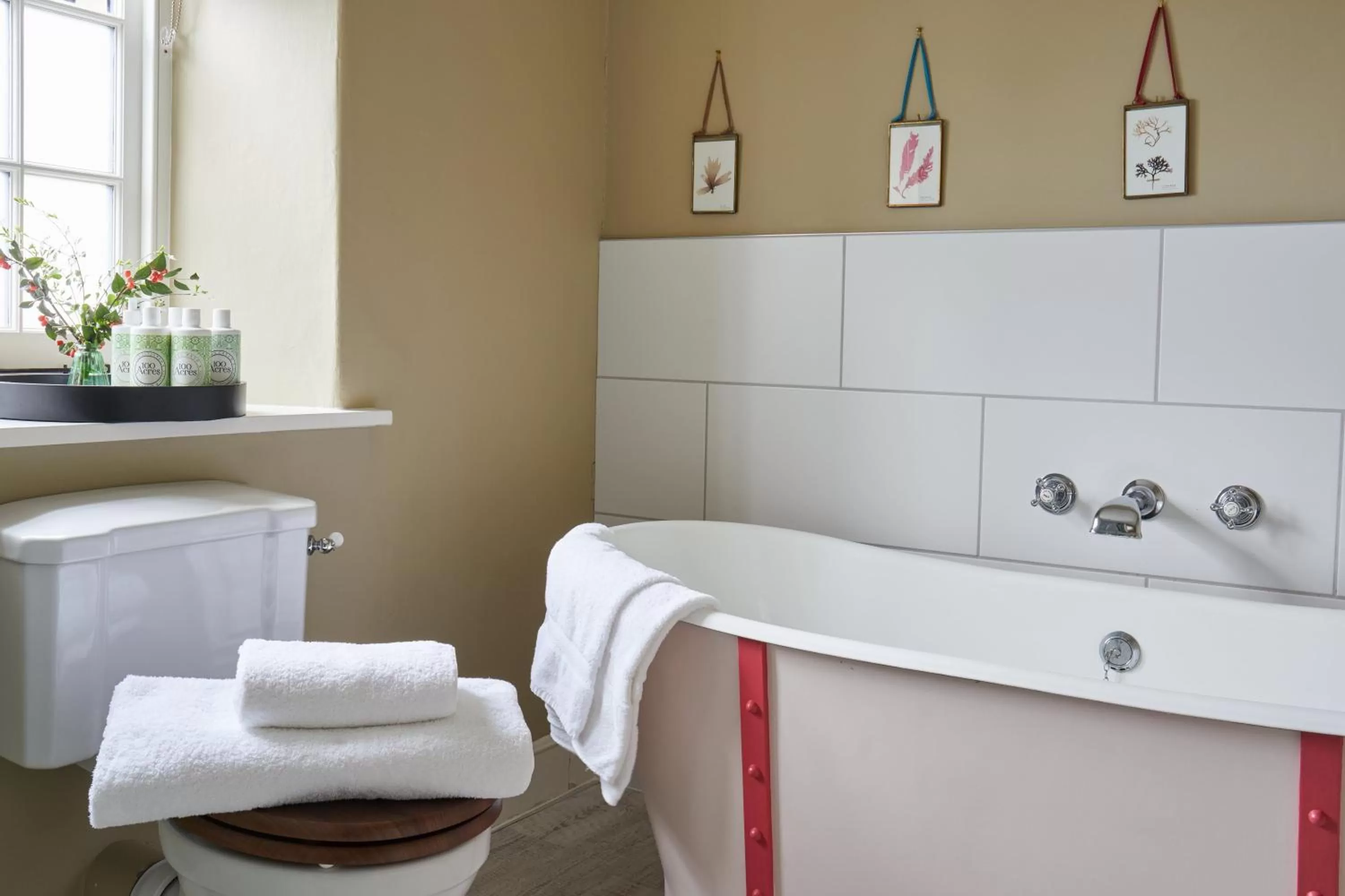 Bathroom in The Queens Arms