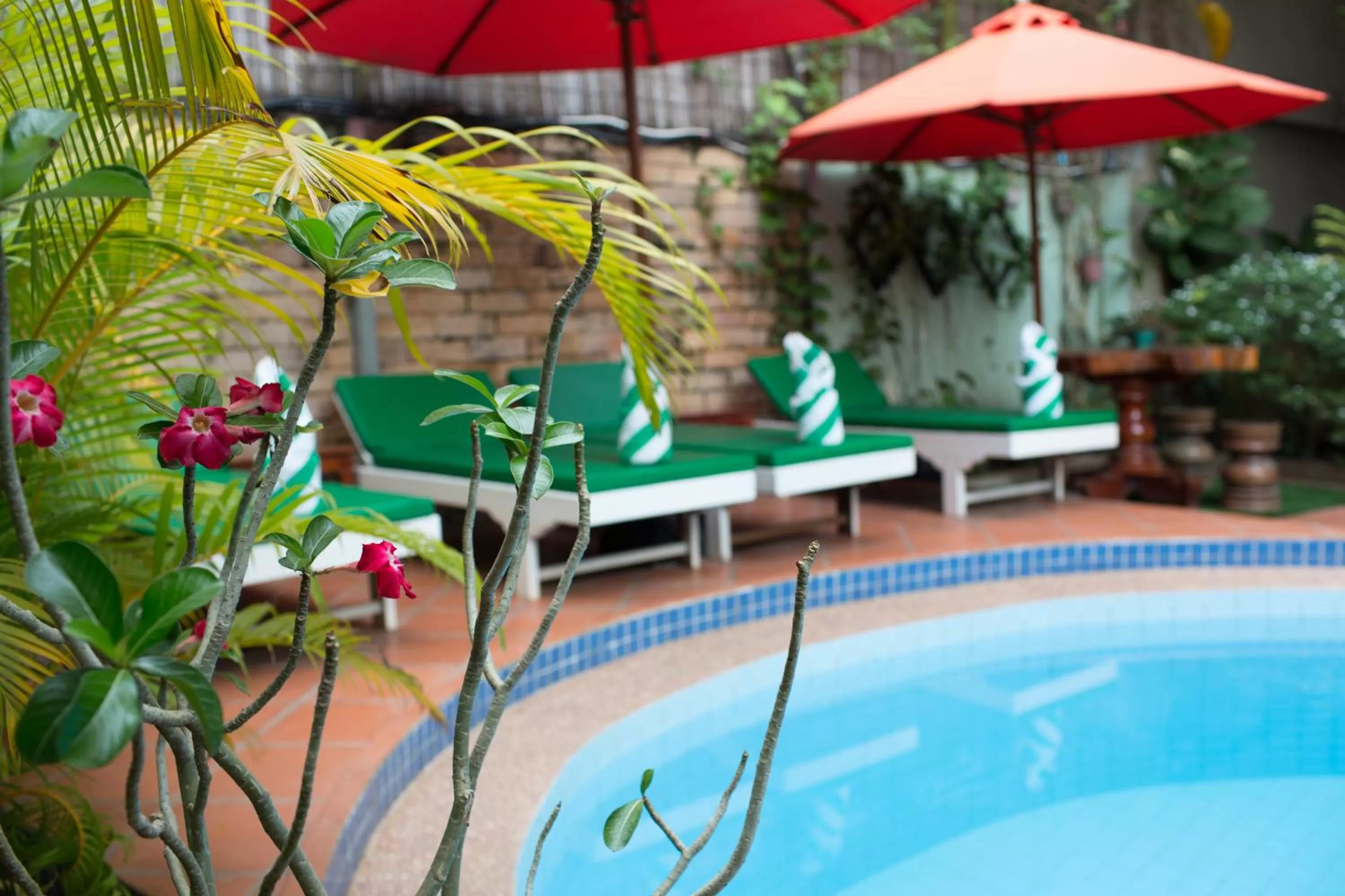 On site in La Villa du Bonheur