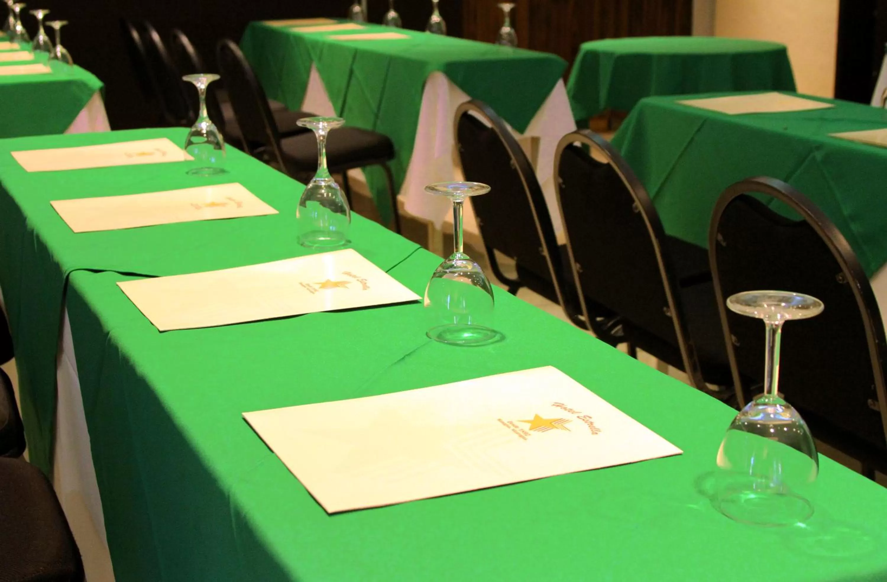 Meeting/conference room in Hotel Estrella