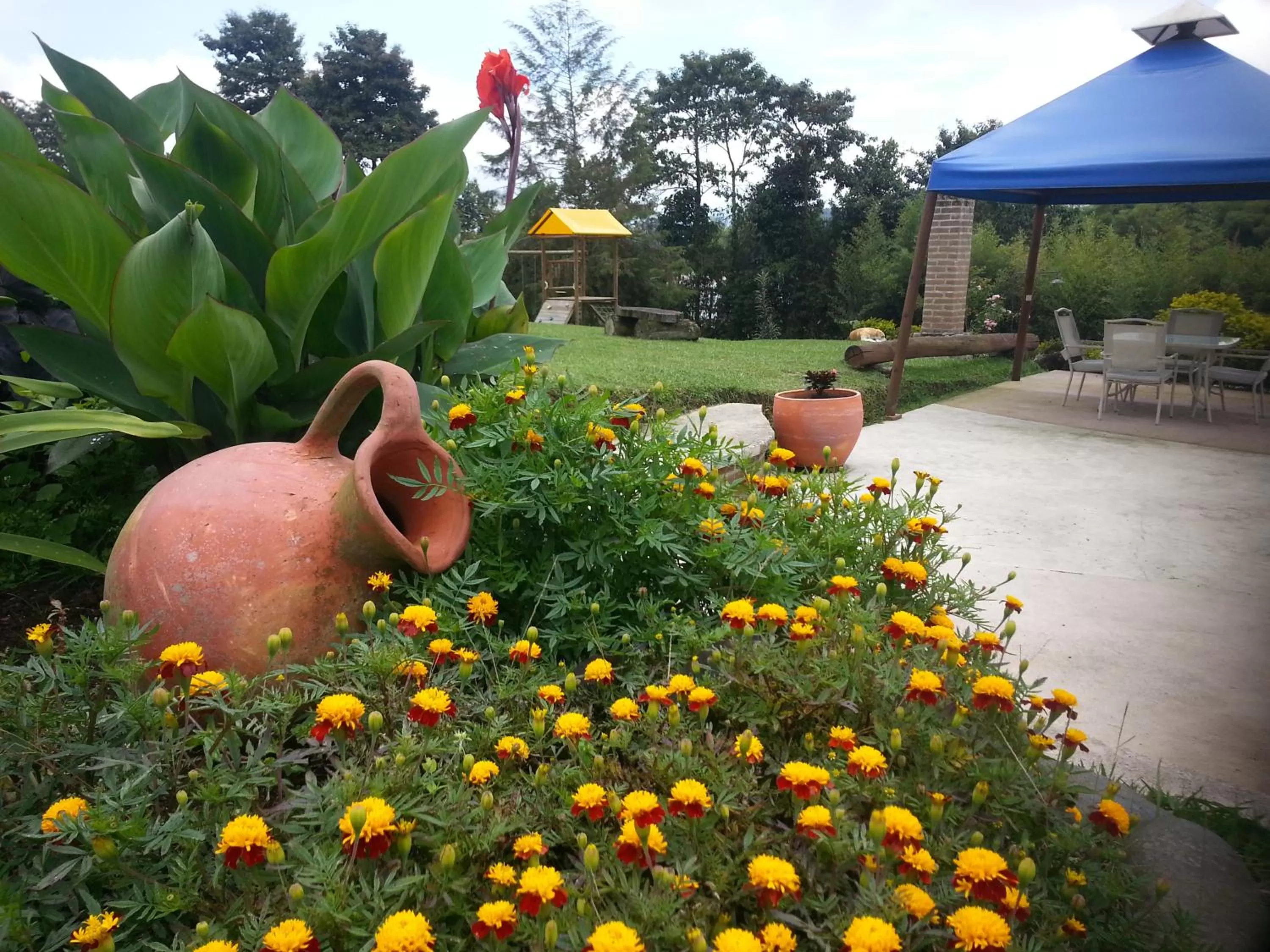Garden in Matisses Hotel & Spa