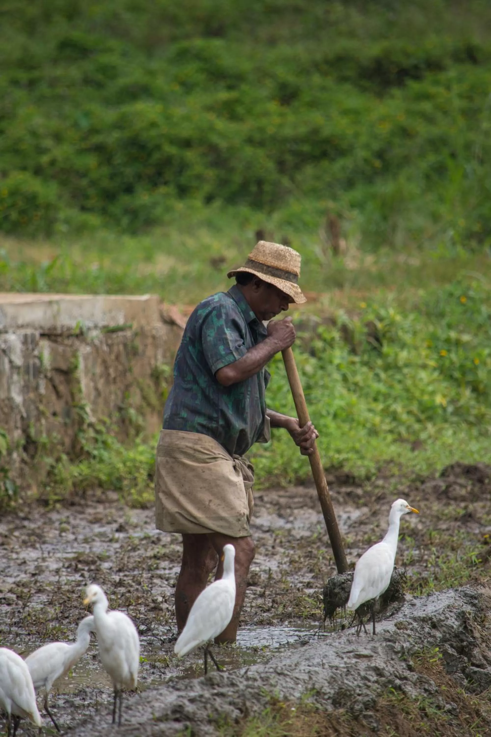 Seasons in The Kandyan Manor by Bhathiya & Suzy