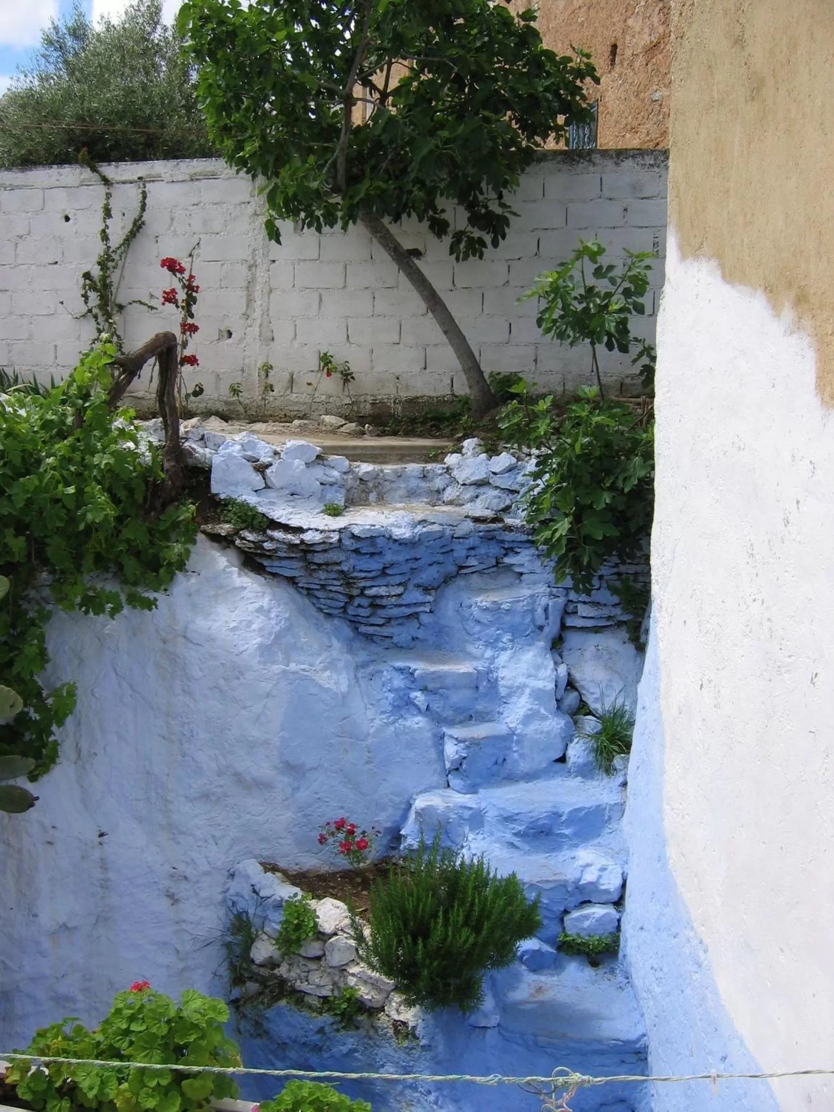 Garden view in Dar Dalia