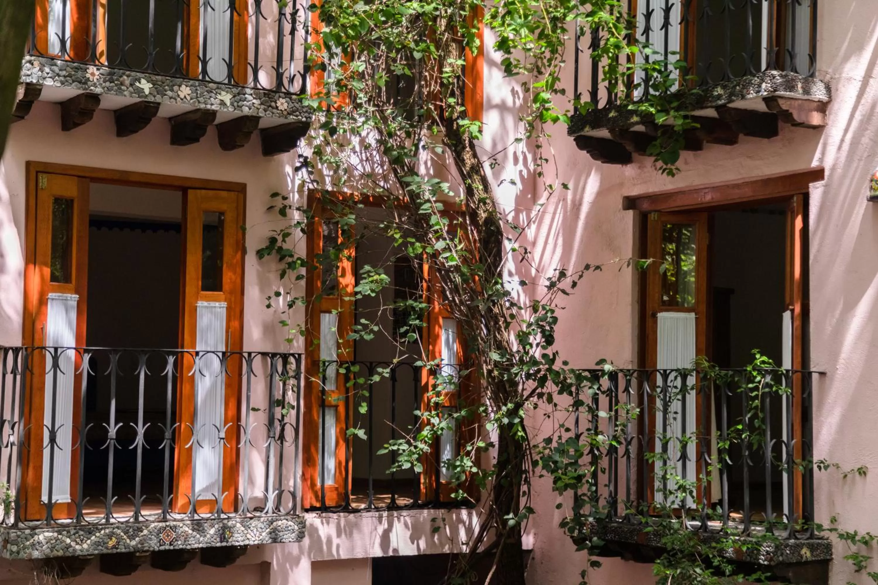 Property building in Hotel La Casa de los Árboles Immersive Experience