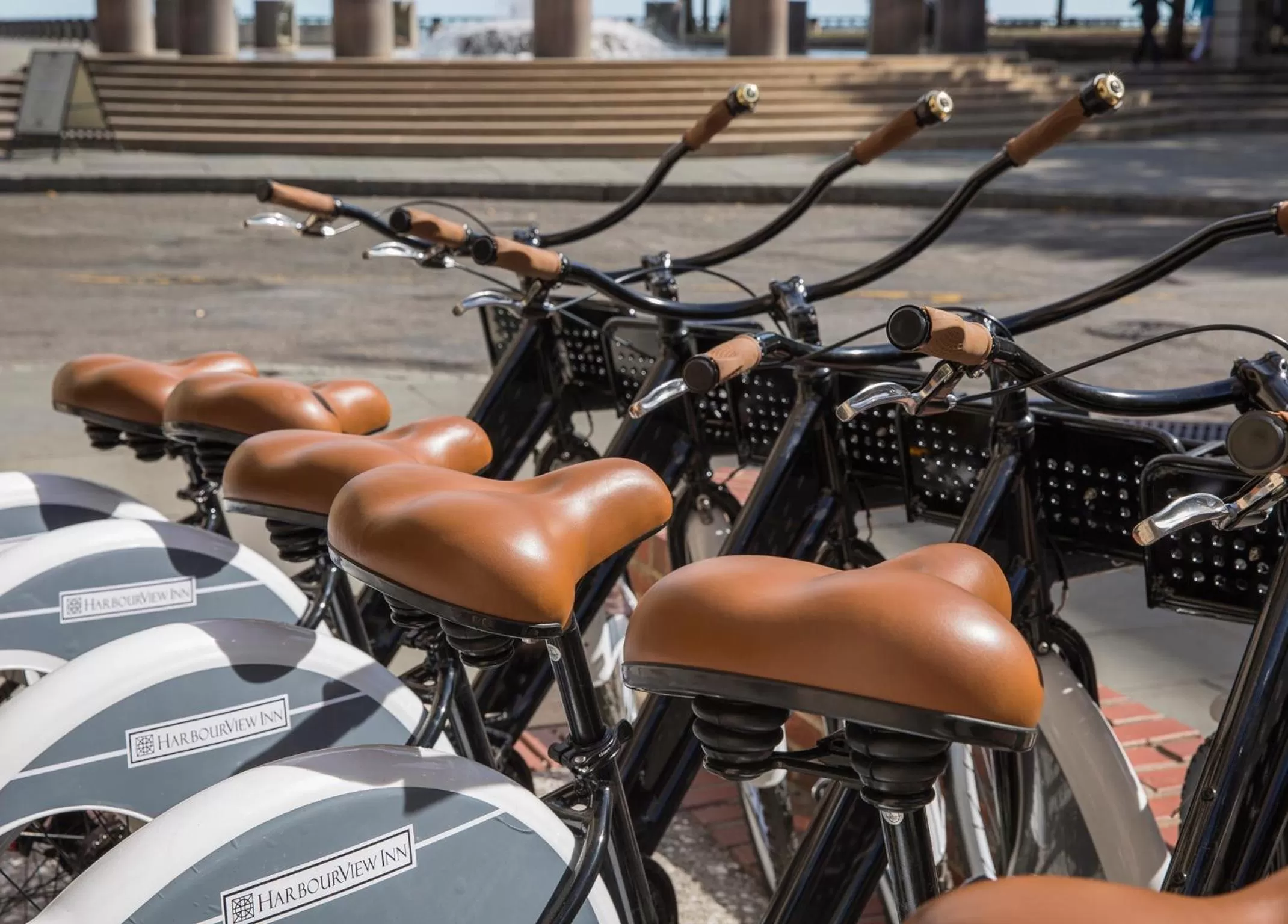 Cycling in Harbourview Inn