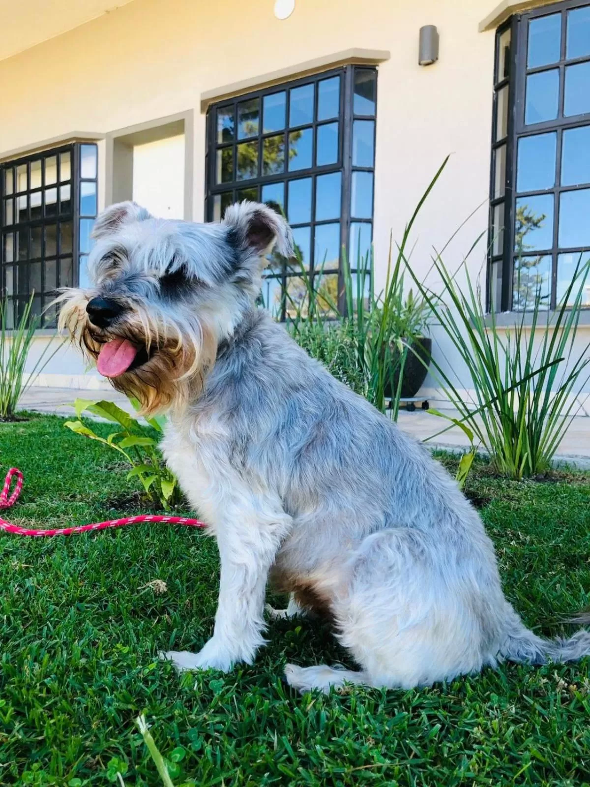 Pets in Hotel Rocaval San Cristóbal de las Casas
