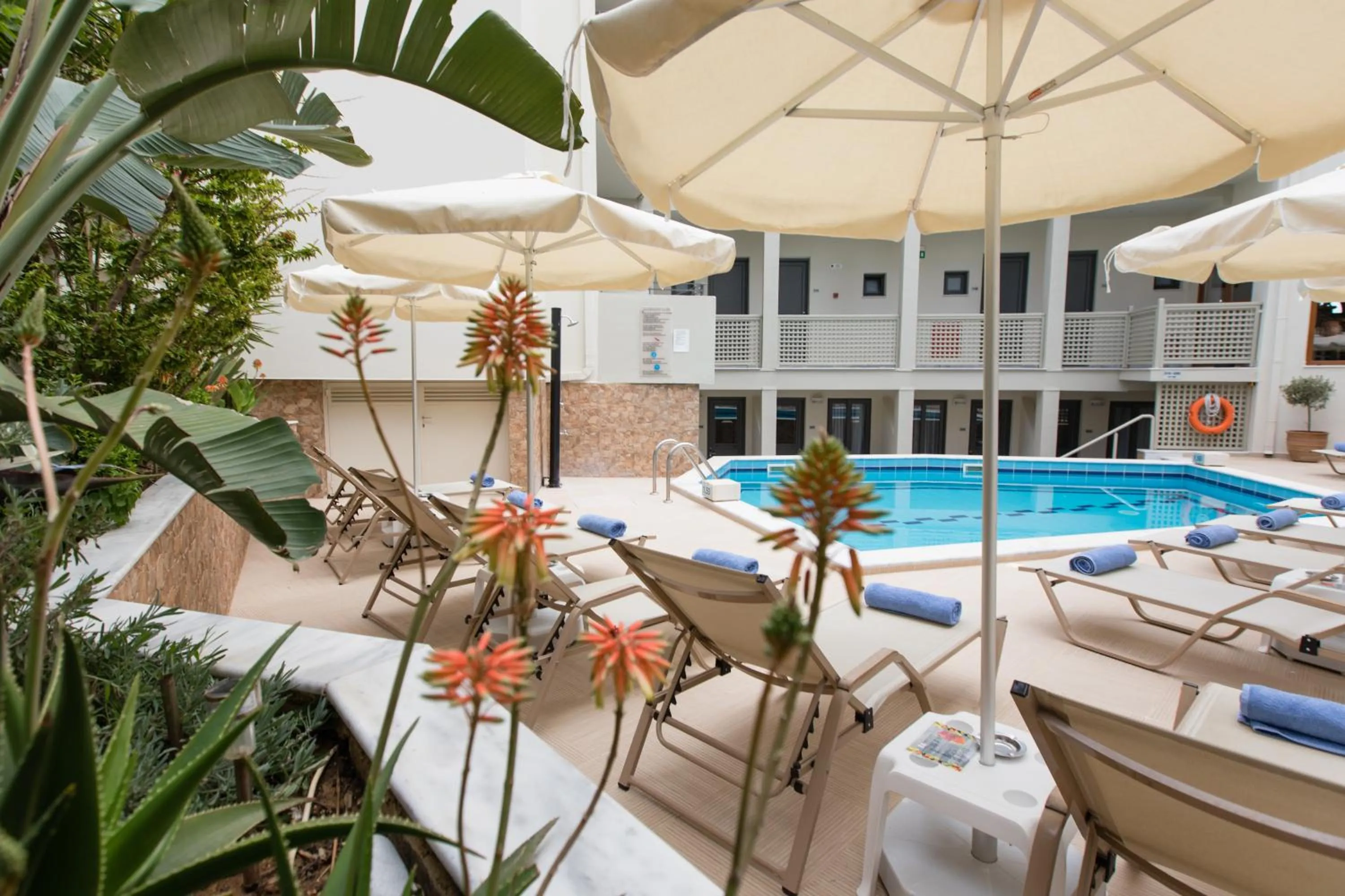 Swimming pool in Anita Beach Hotel- Adults Only