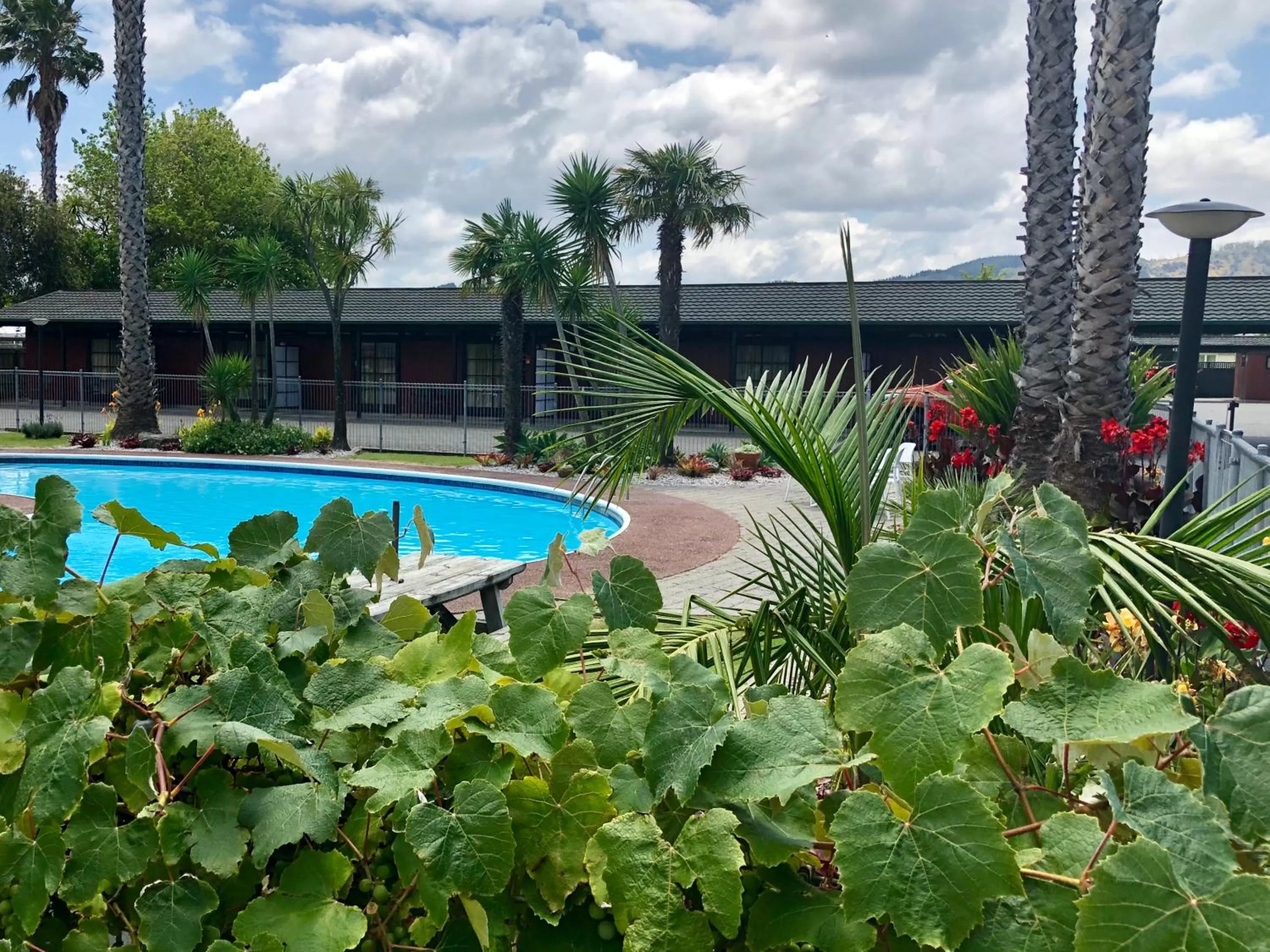 Swimming pool in Teal Motor Lodge