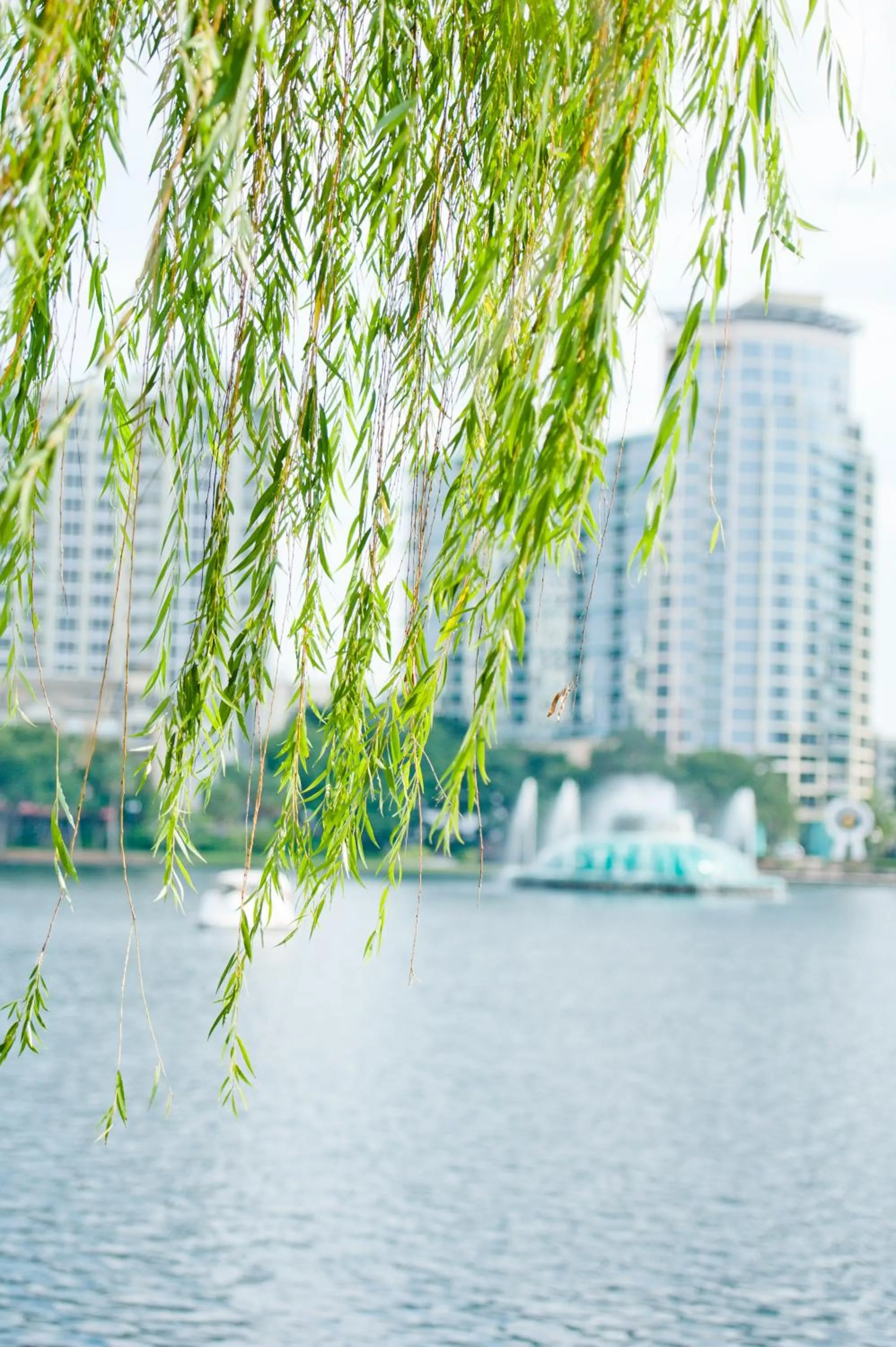 Nearby landmark in The EO Inn - Downtown Orlando