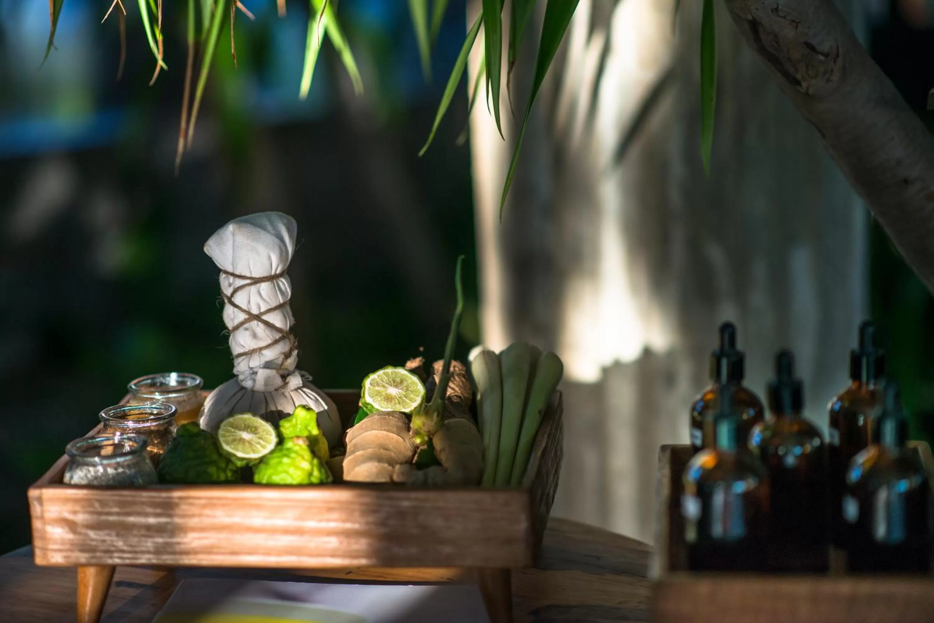 Spa and wellness centre/facilities in Viroth's Villa