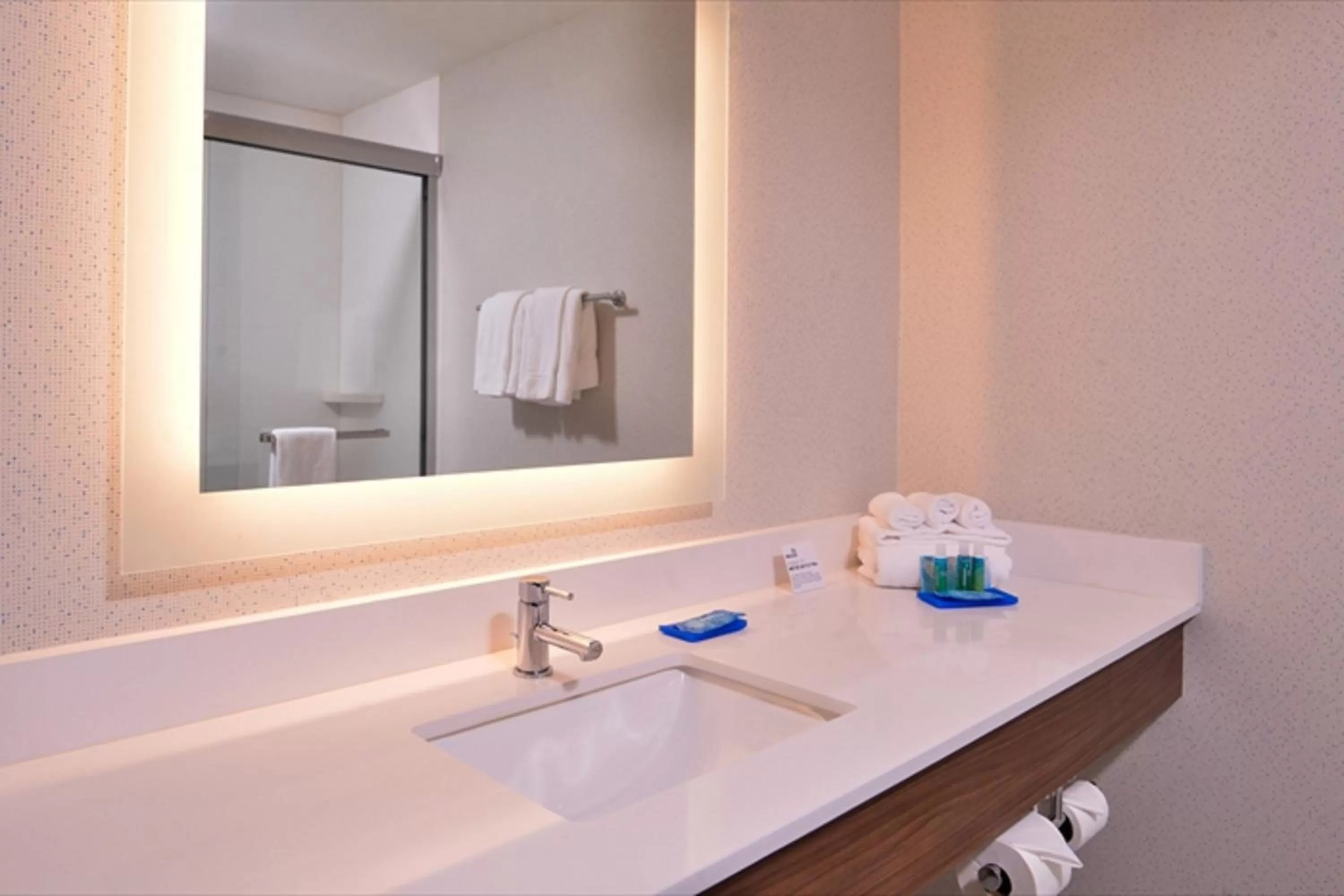 Bathroom in Holiday Inn Express & Suites Albany by IHG