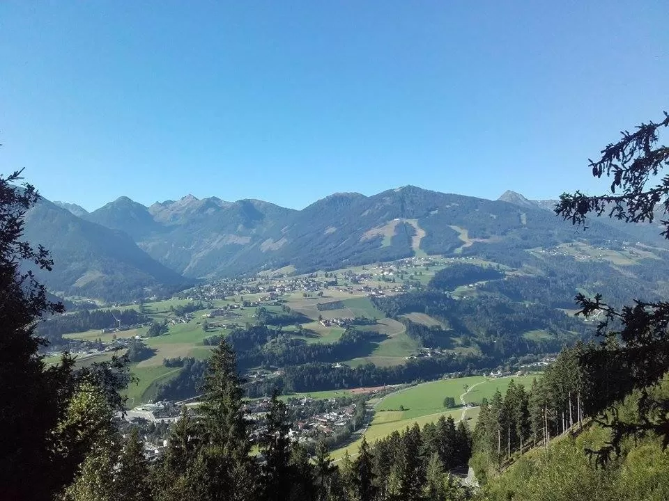 Mountain view in Pension Adlerhorst