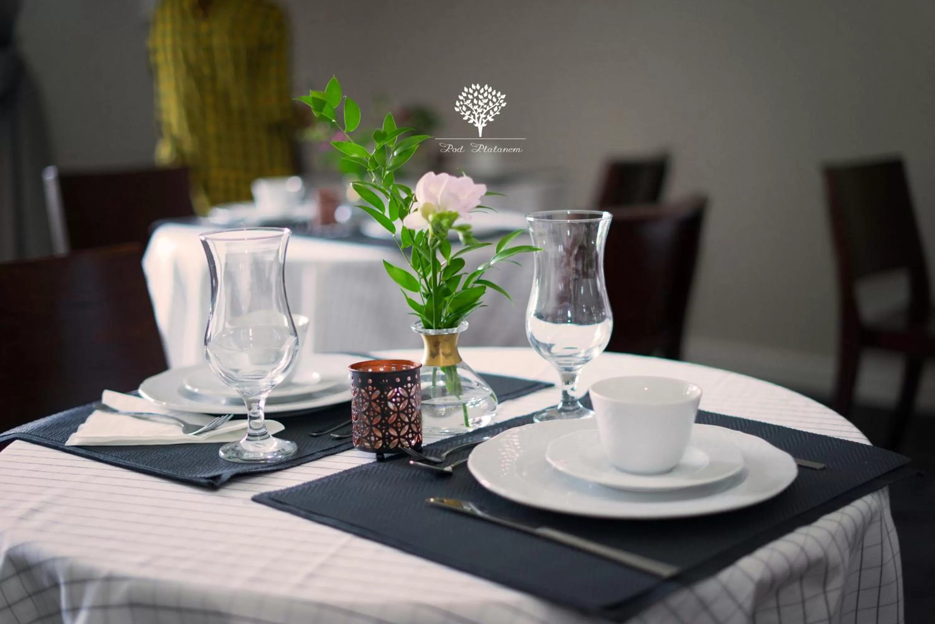 Restaurant/Places to Eat in Pod Platanem Gliwice