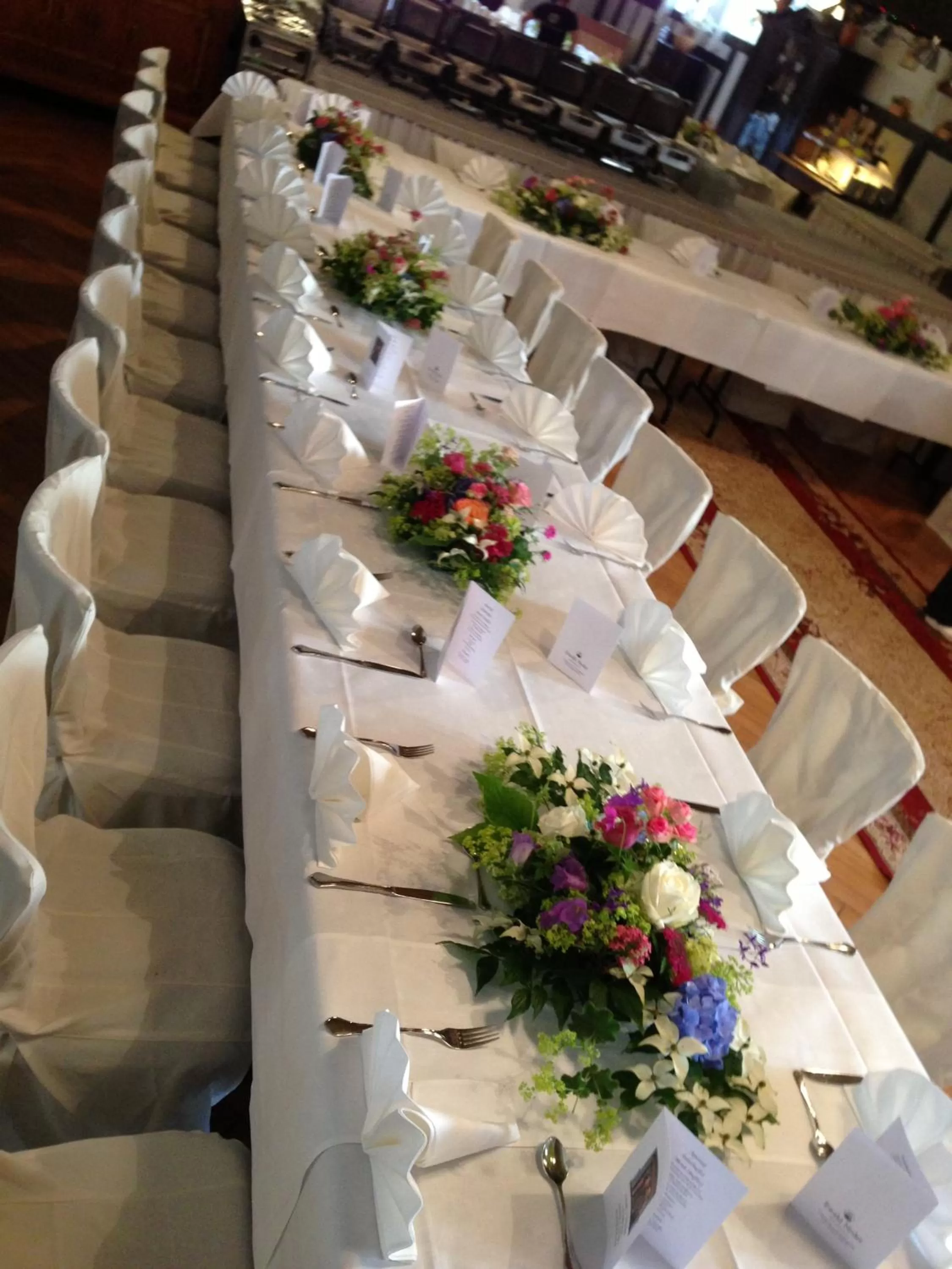 Banquet/Function facilities in Hotel Domhof