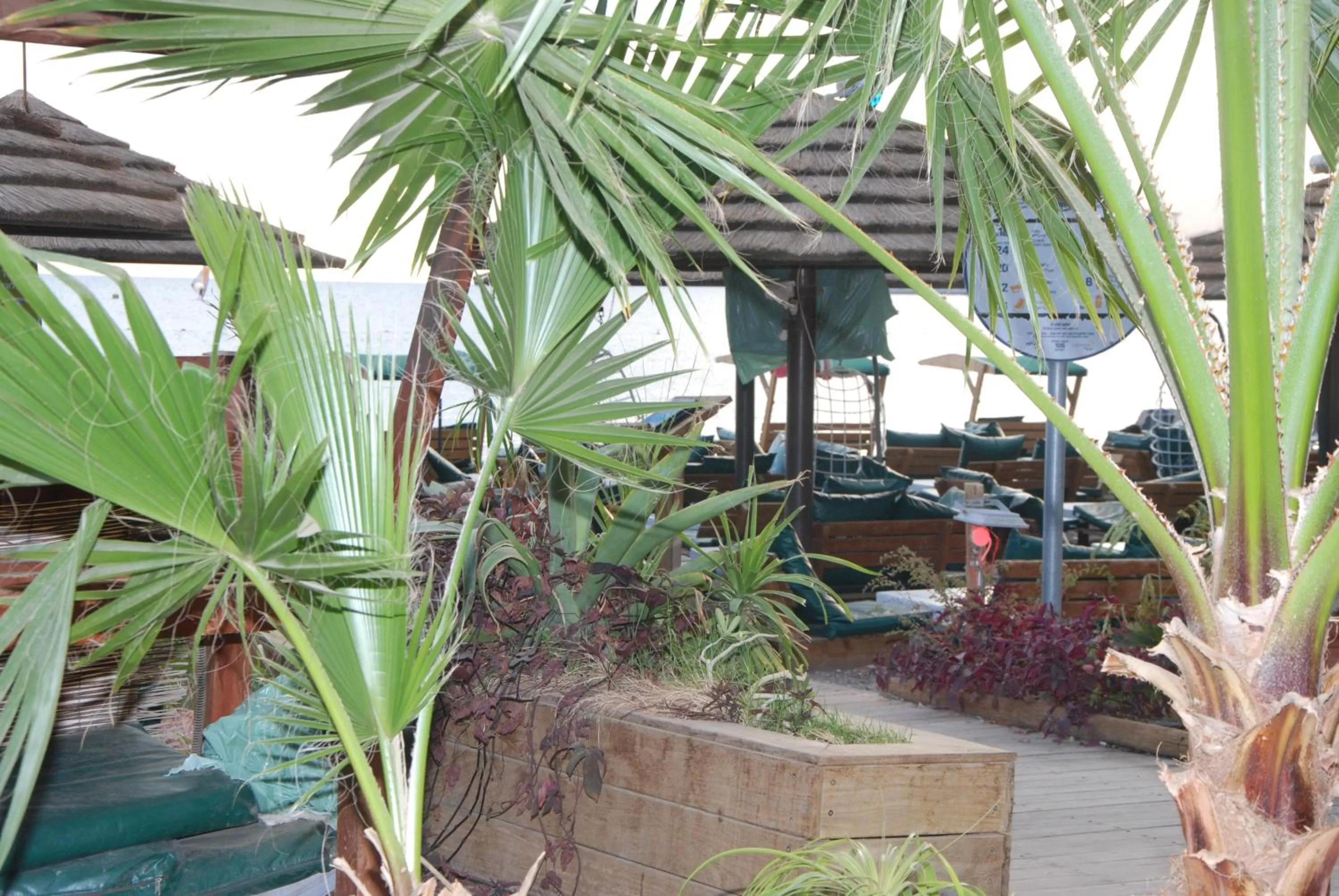 Sea view in Red Sea Hotel