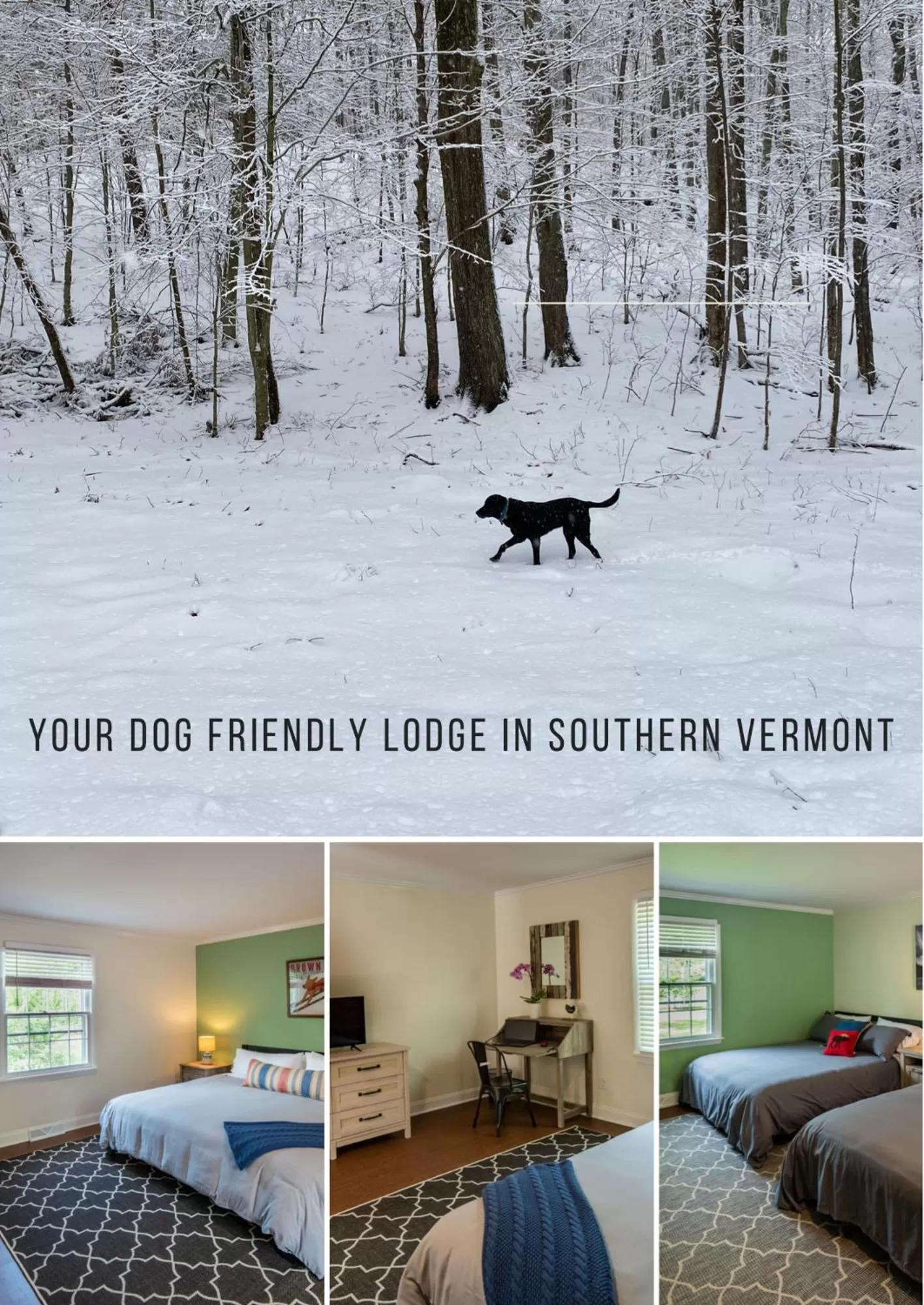 Bed in Arcady Mountain Motor Lodge