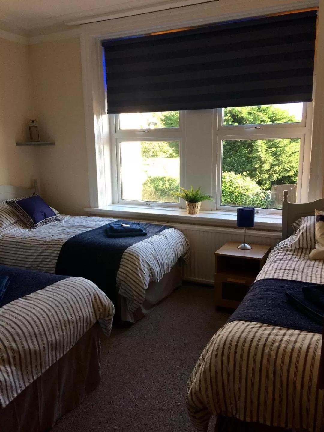 Bed in Lismore Guest House