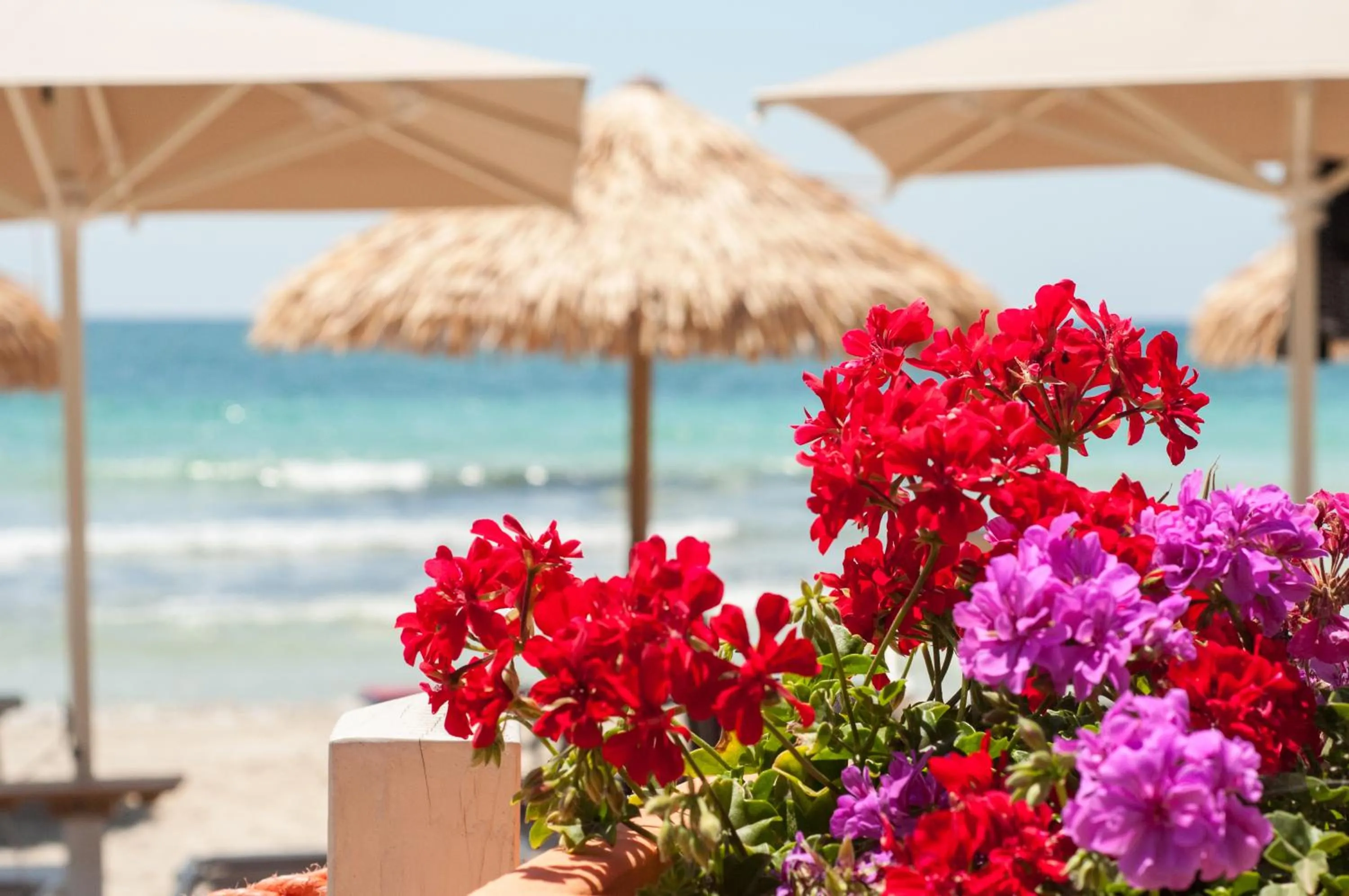 Beach in Conchiglia Azzurra Resort & Beach