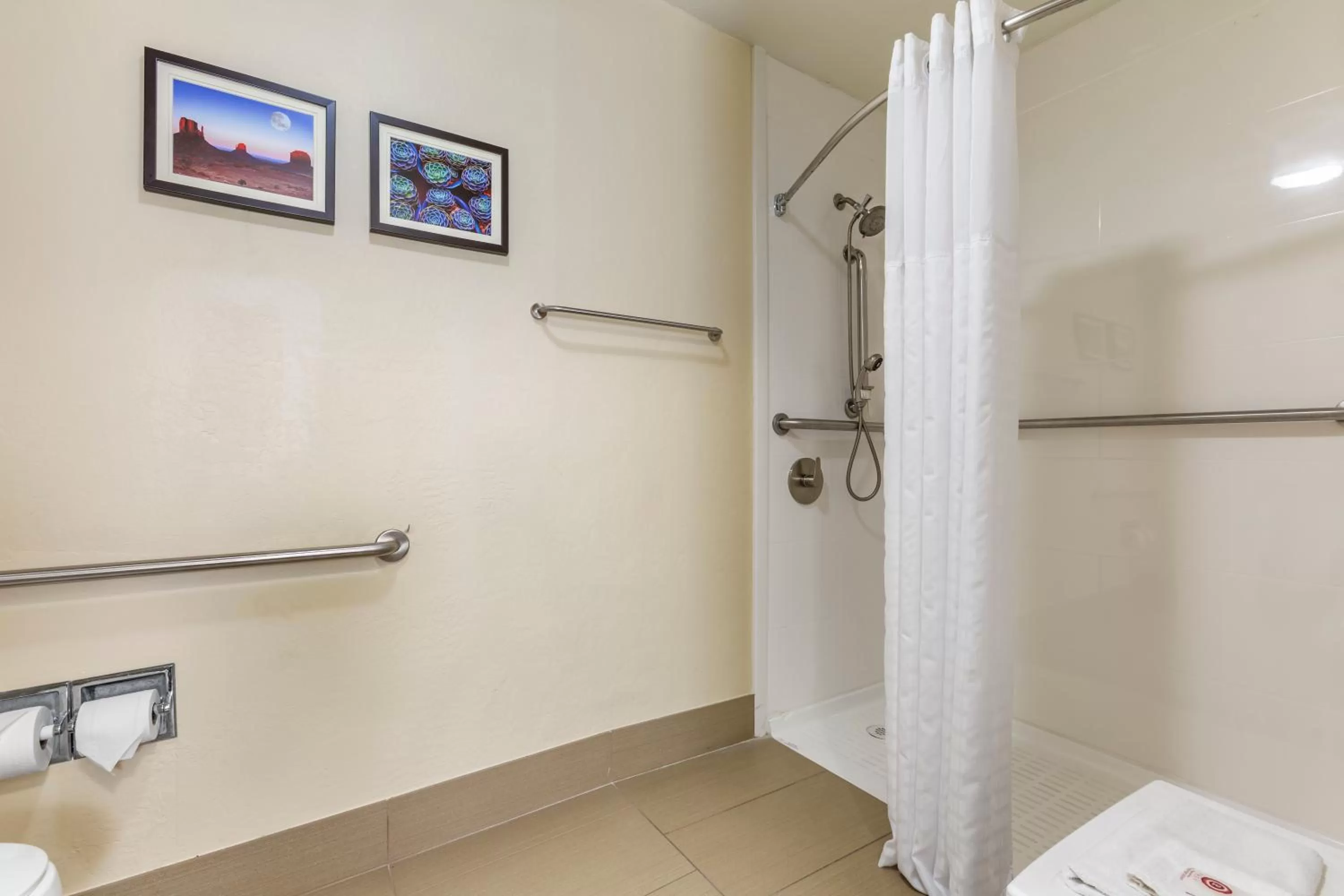 Shower in Comfort Inn & Suites Surprise Near Sun City West