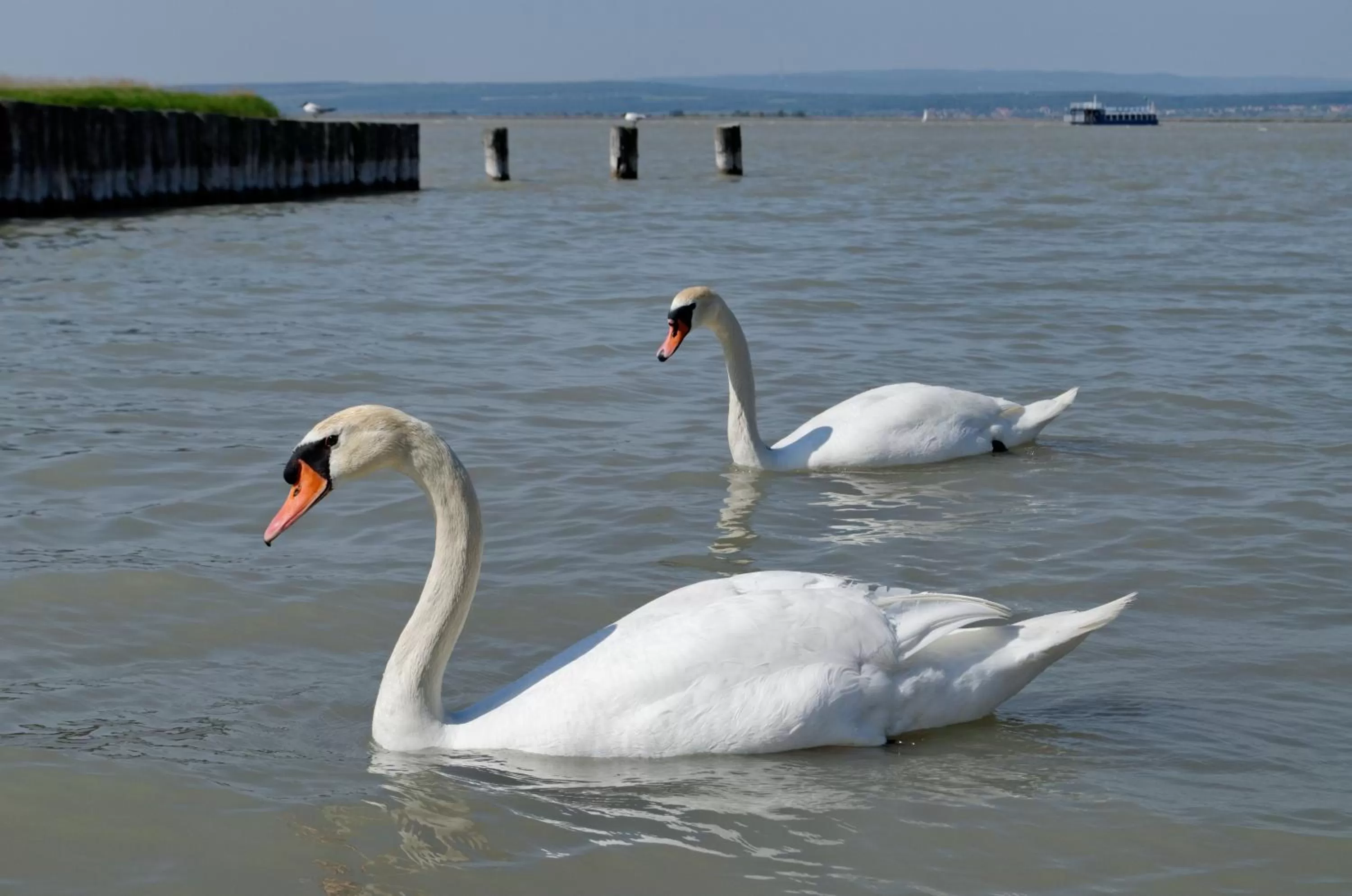 Area and facilities in Hotel Nationalpark