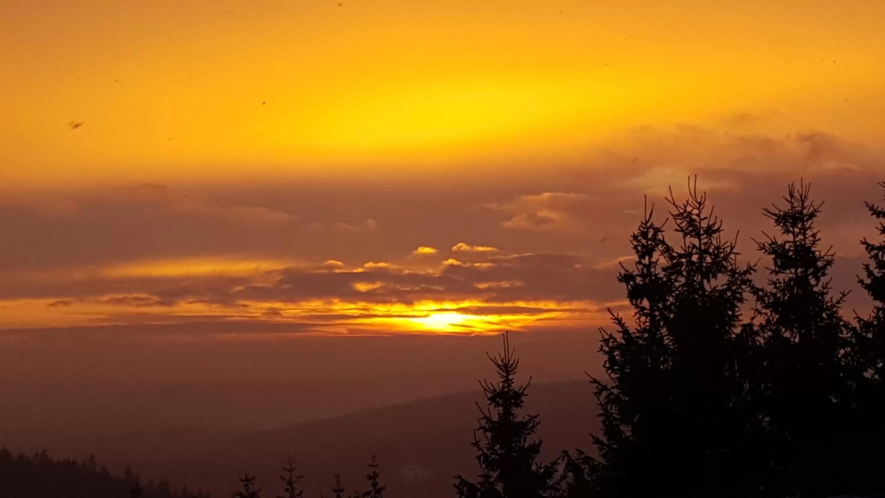 Other in Hotel Traumblick