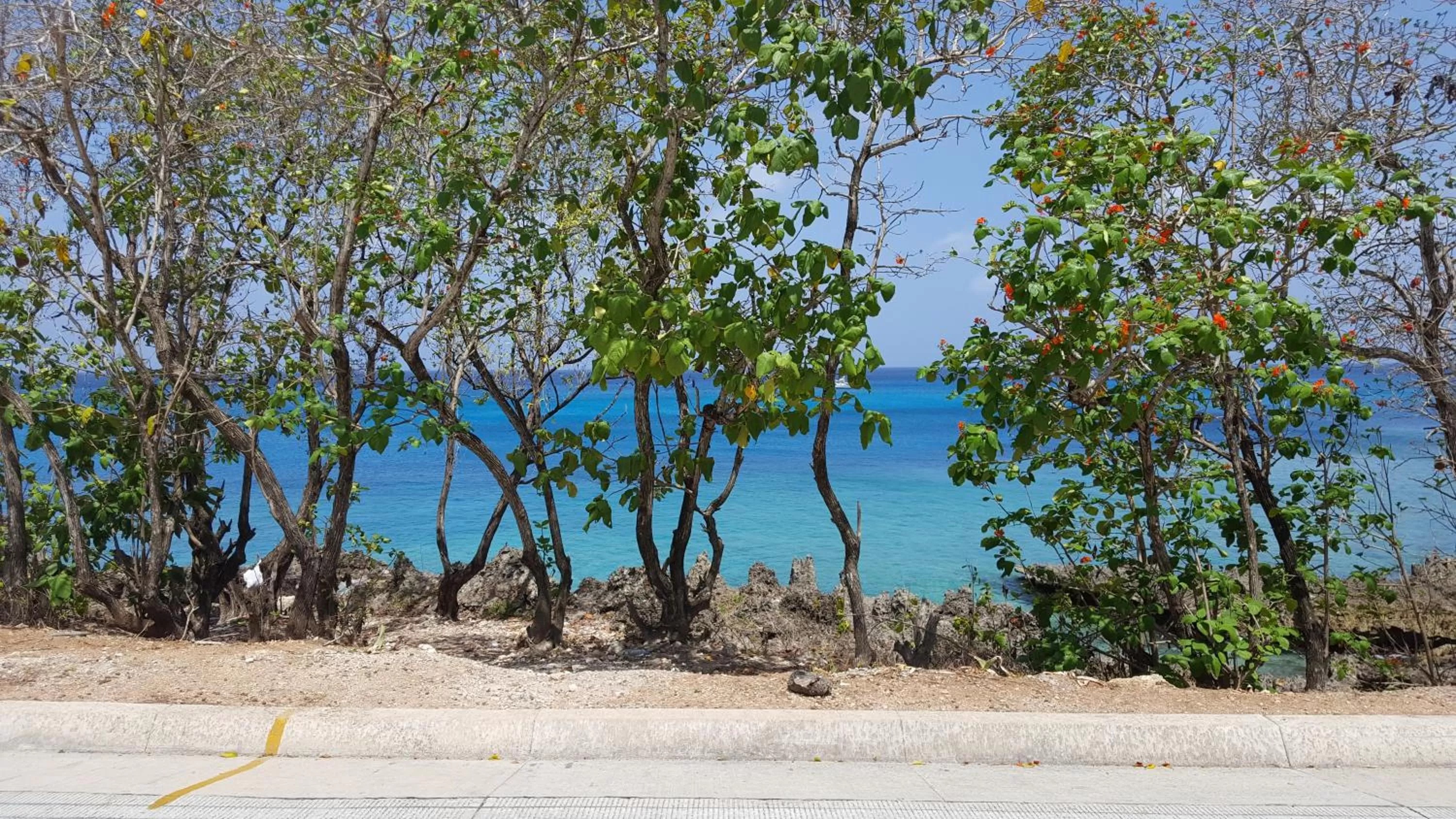 Day in Coral House San Andres