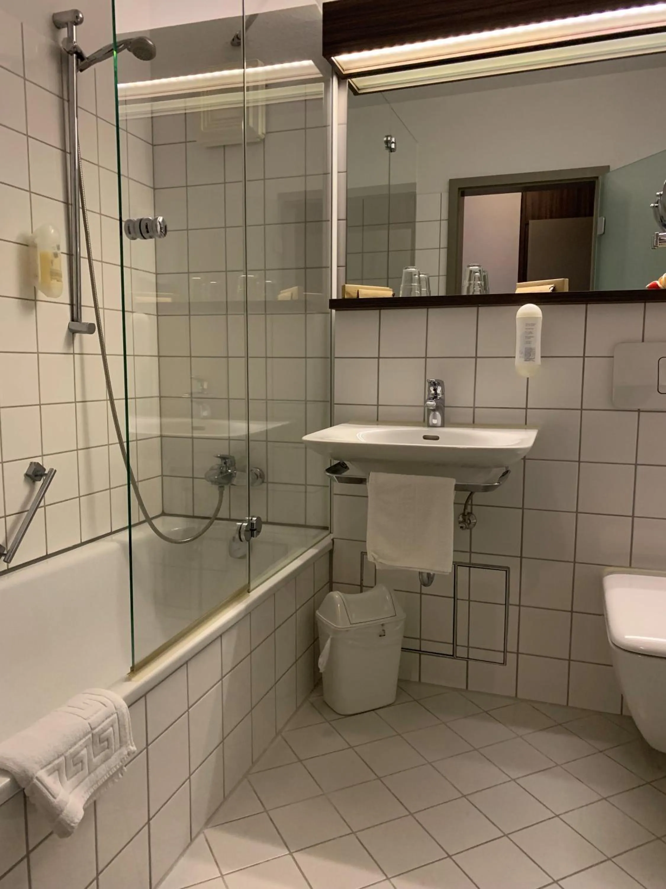 Single Room in Hotel Ambiente Walldorf