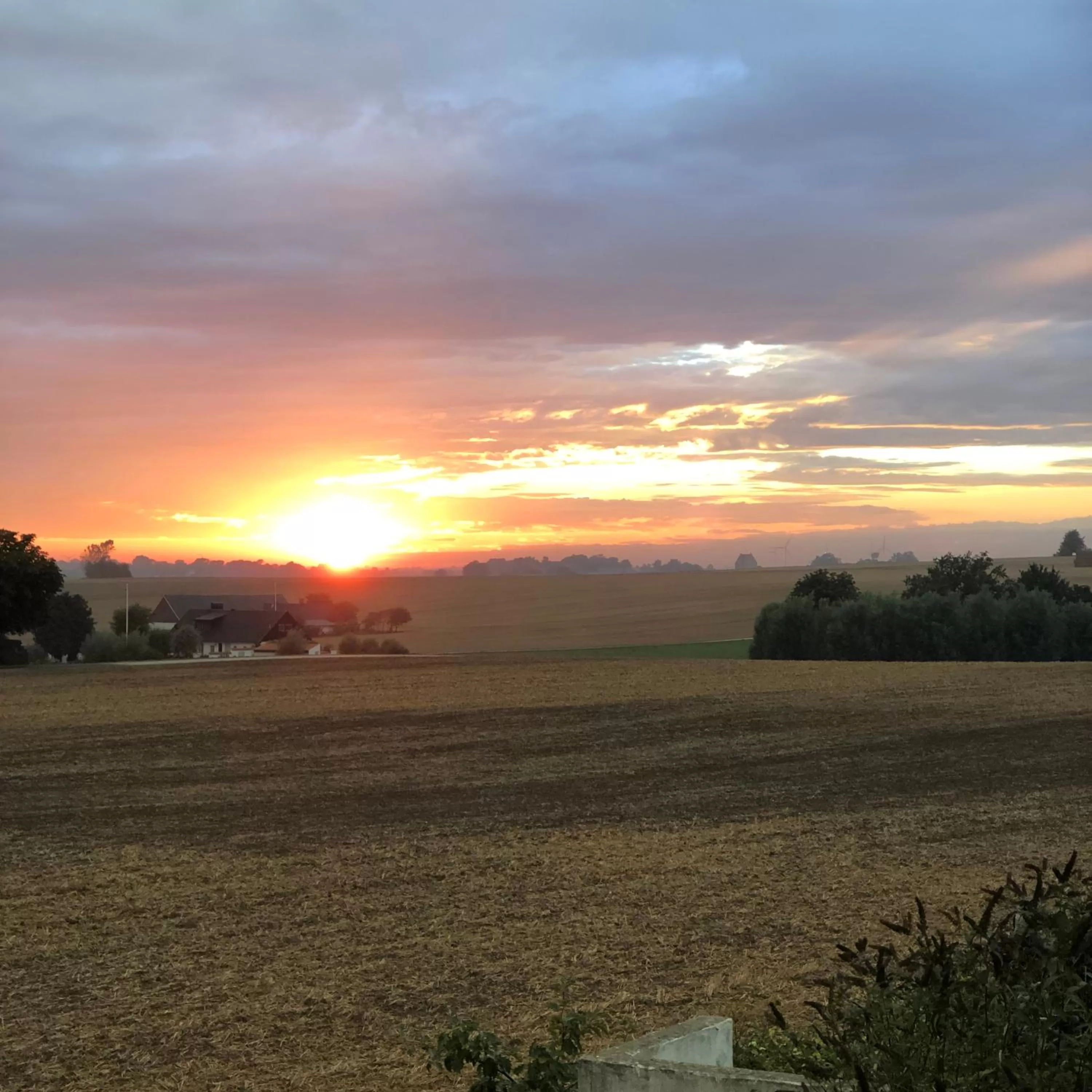 Garden in Glimminge Bed & Breakfast