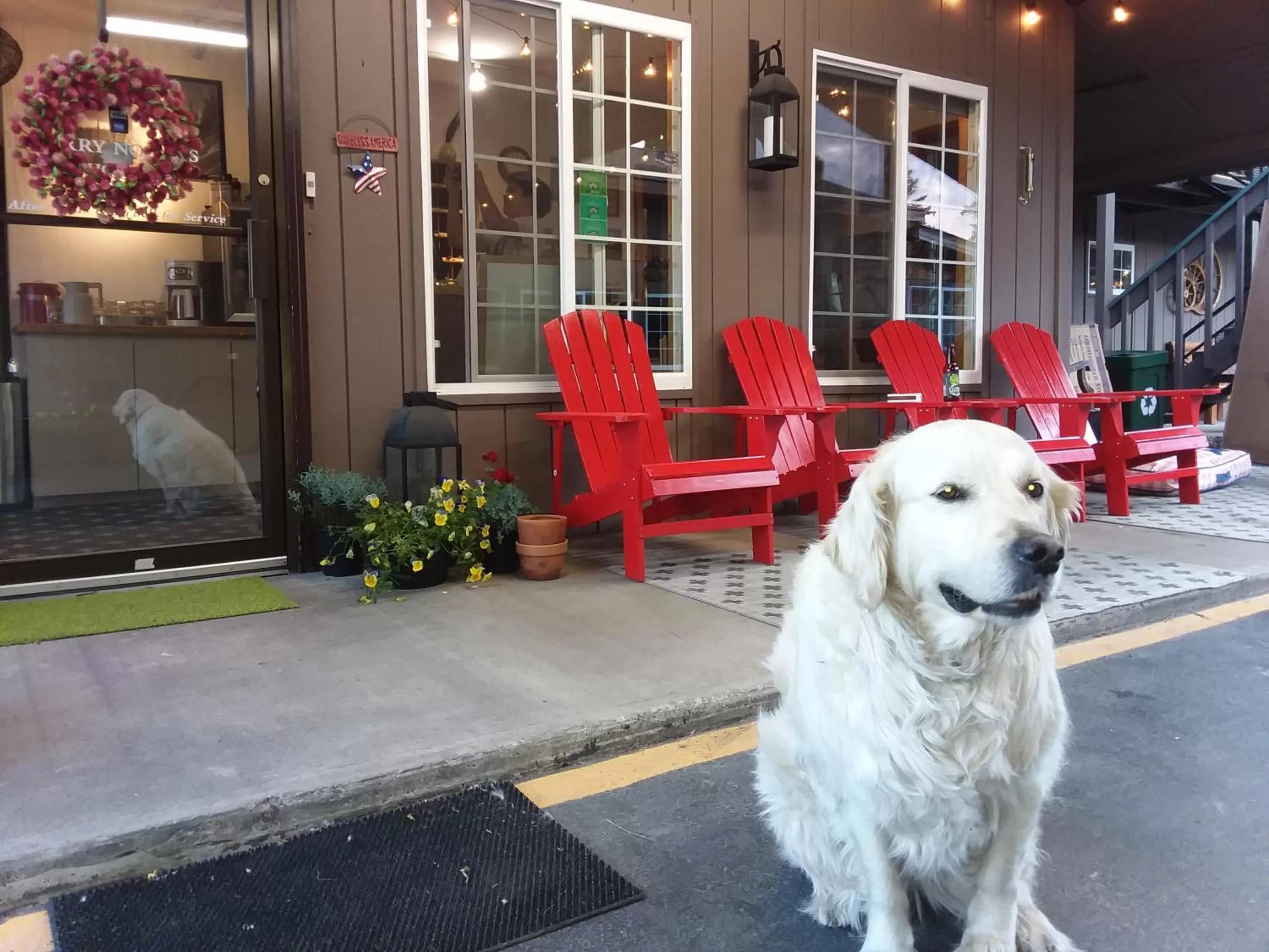 Lobby or reception in Chalet Inn