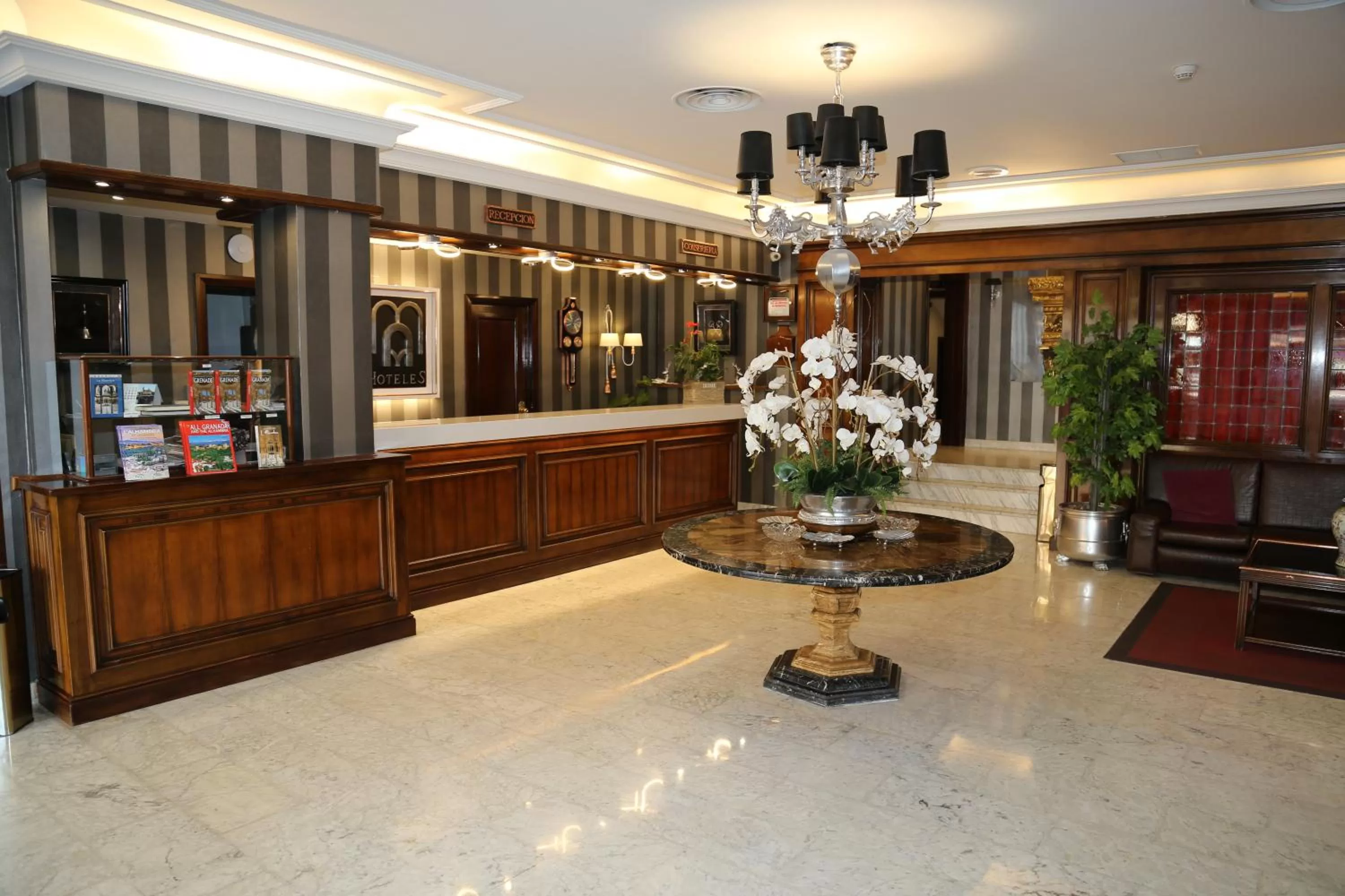Lobby or reception in Princesa Ana