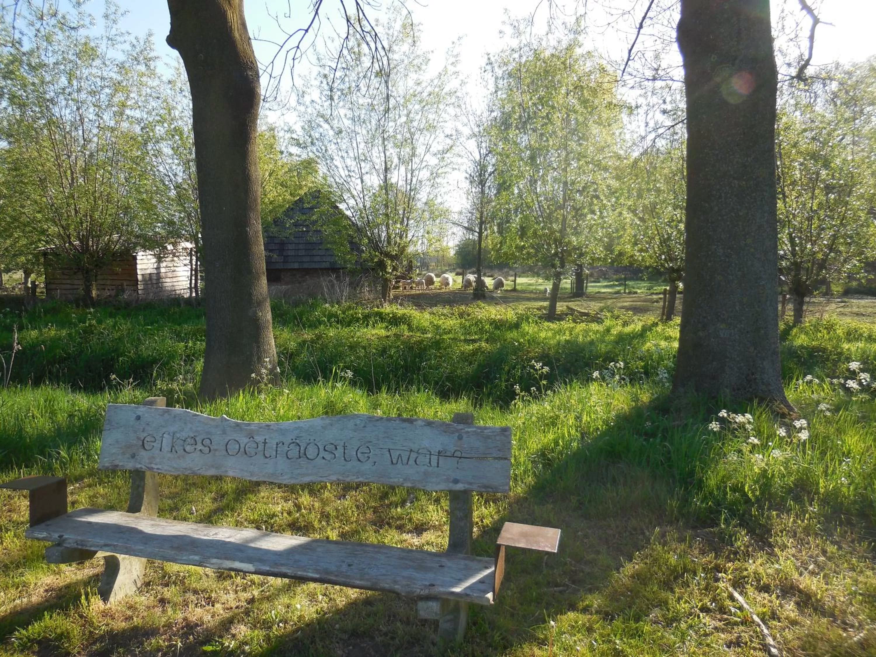 B & B " De 7 Sprong "