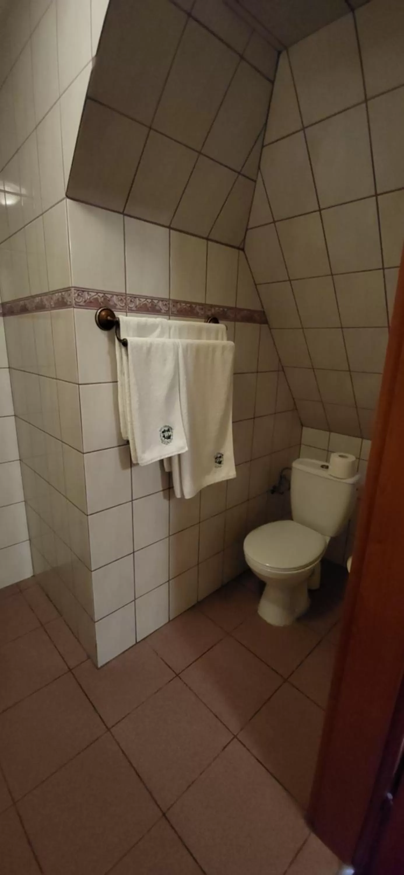 Toilet in Dom Schumannów