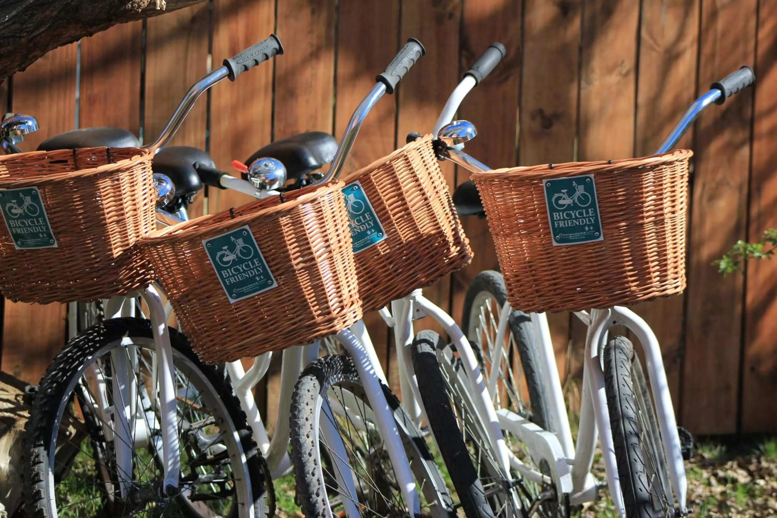 Natural landscape in Hosteria Cauquenes De Nimez