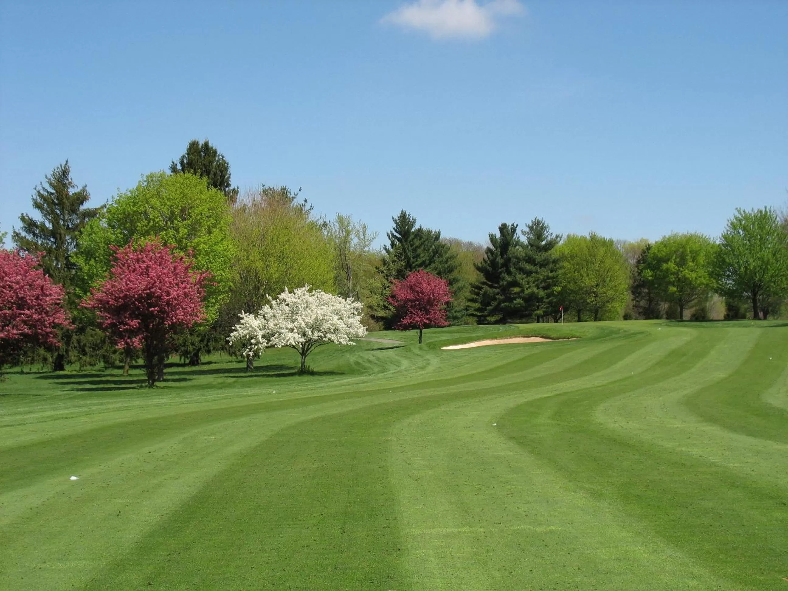 Golfcourse in Holiday Inn Cincinnati-Eastgate by IHG