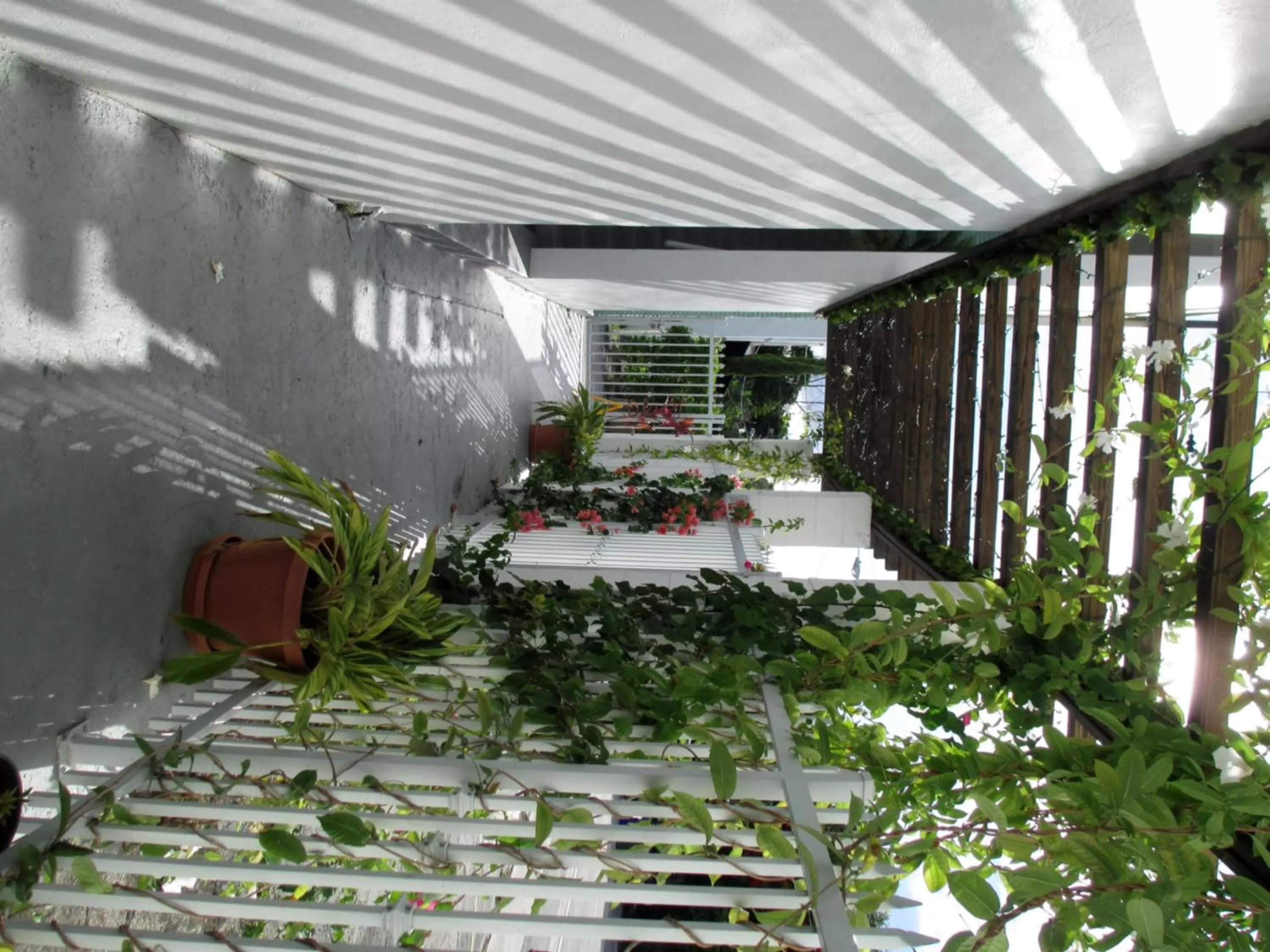 Decorative detail in Shalimar Motel